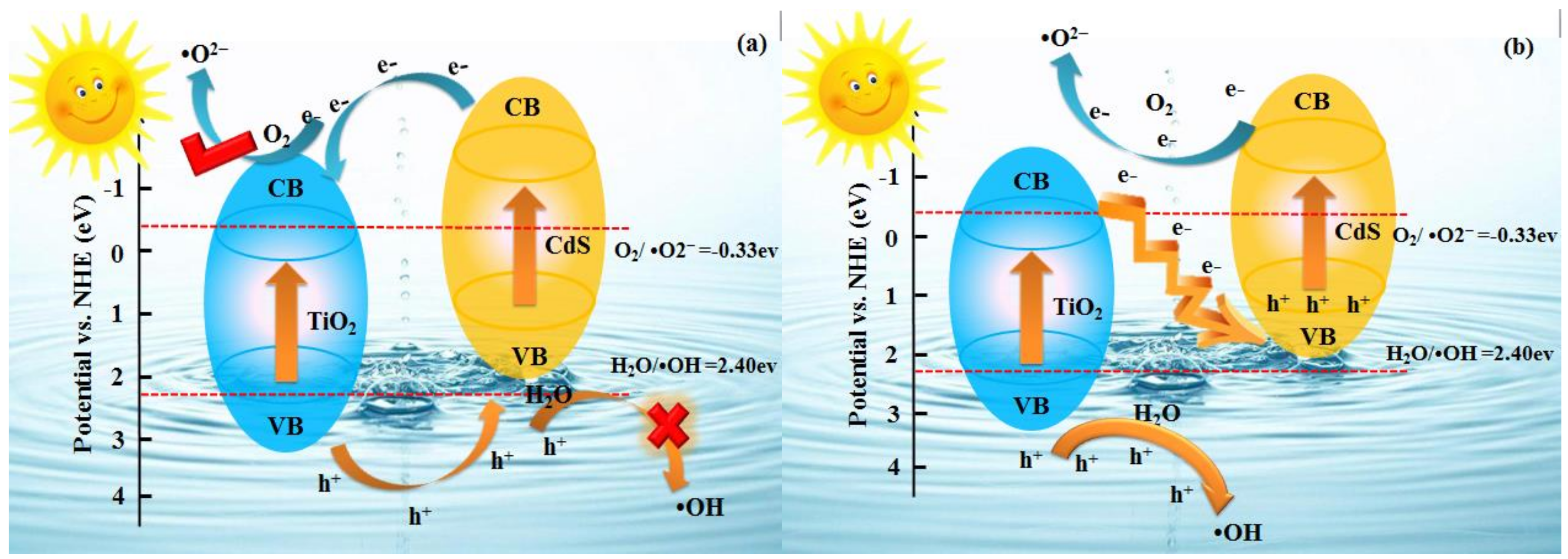 Nanomaterials 09 00222 g007 Nanomaterials 09 00222 g007