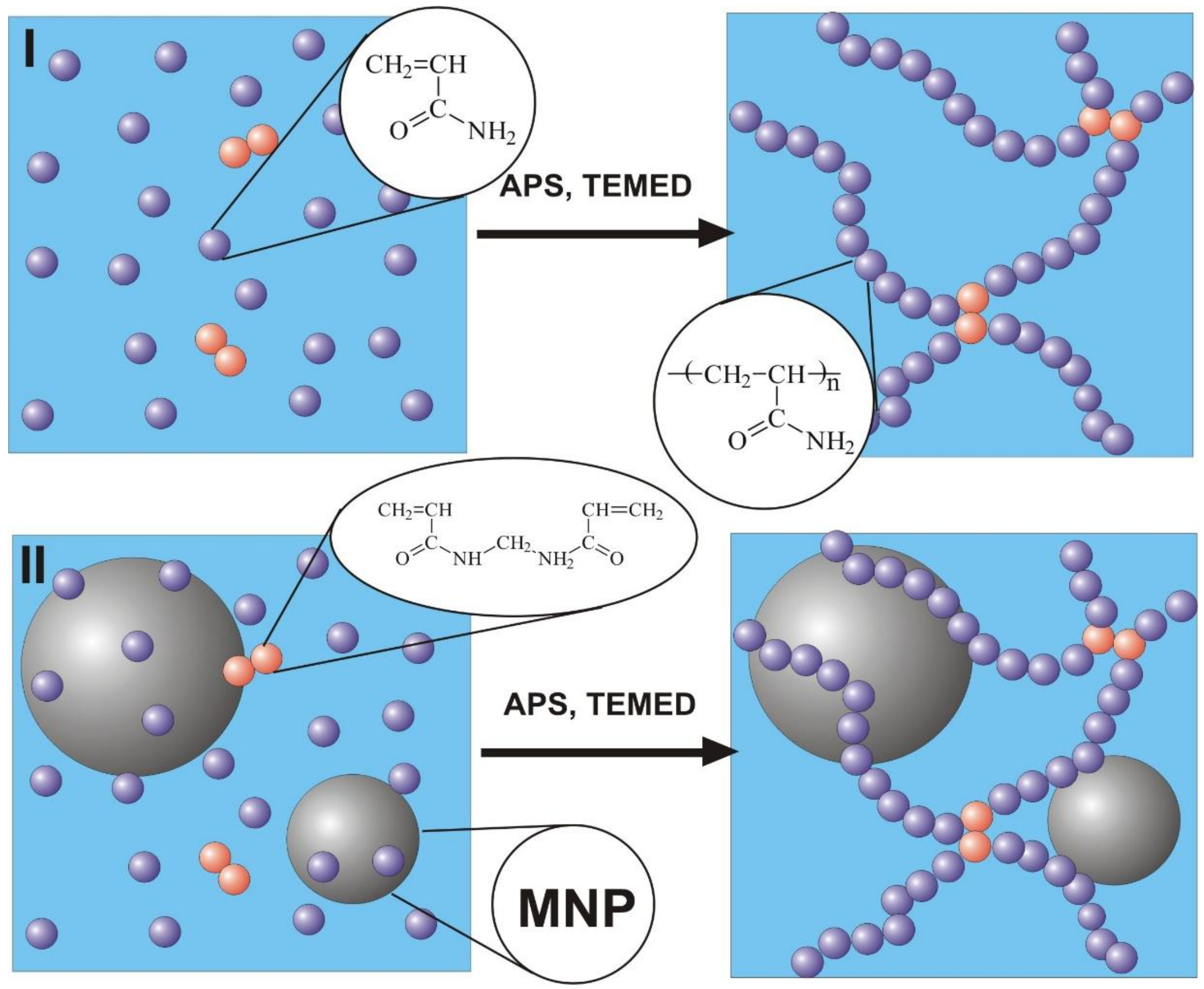 Nanomaterials 09 00232 g001
