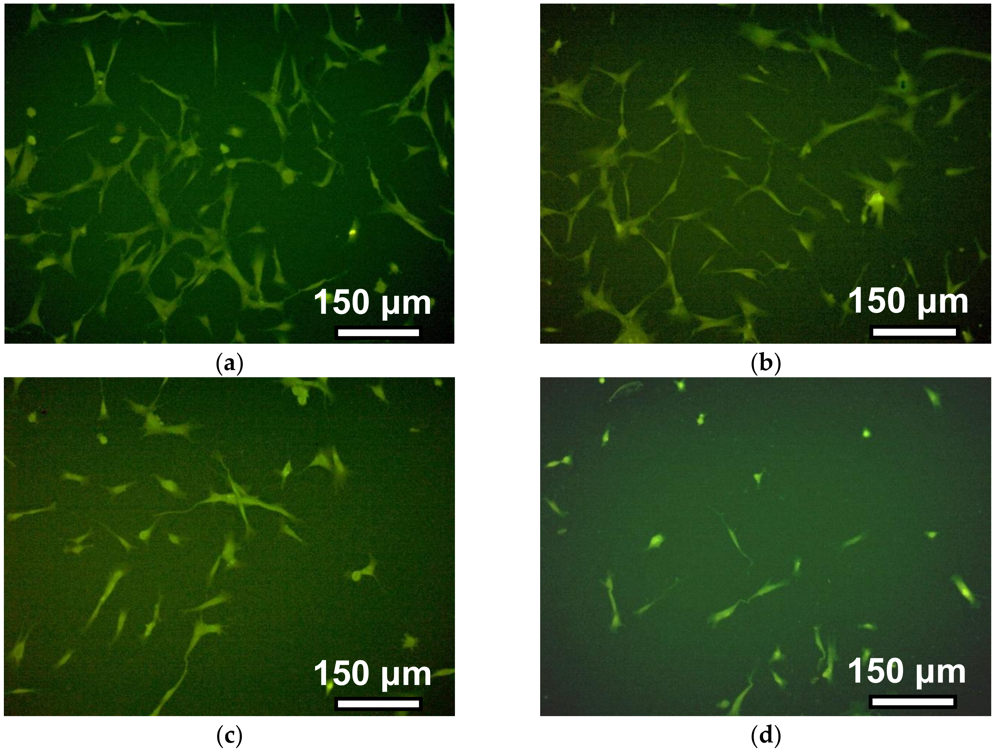 Nanomaterials 09 00232 g007