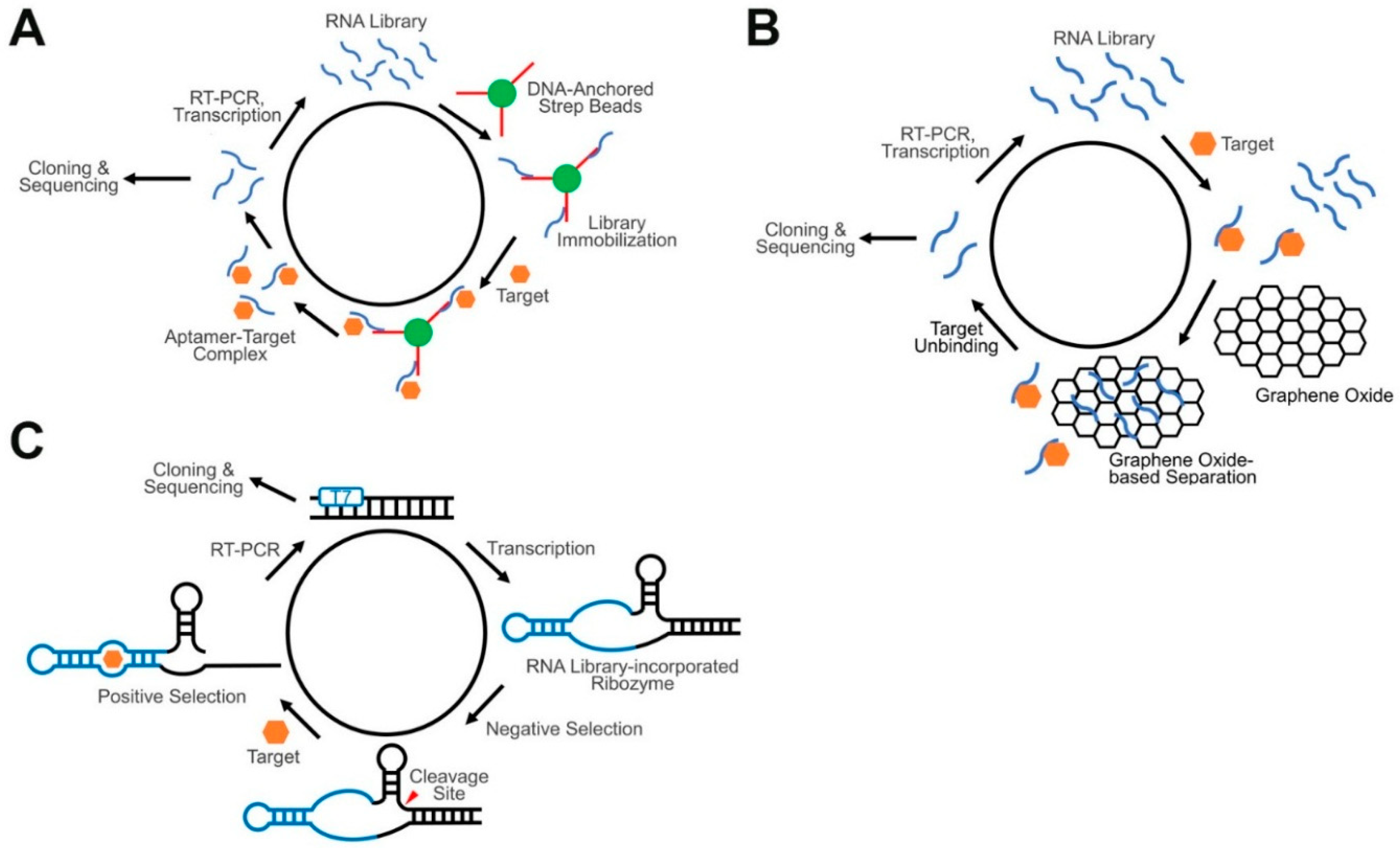 Nanomaterials 09 00233 g003