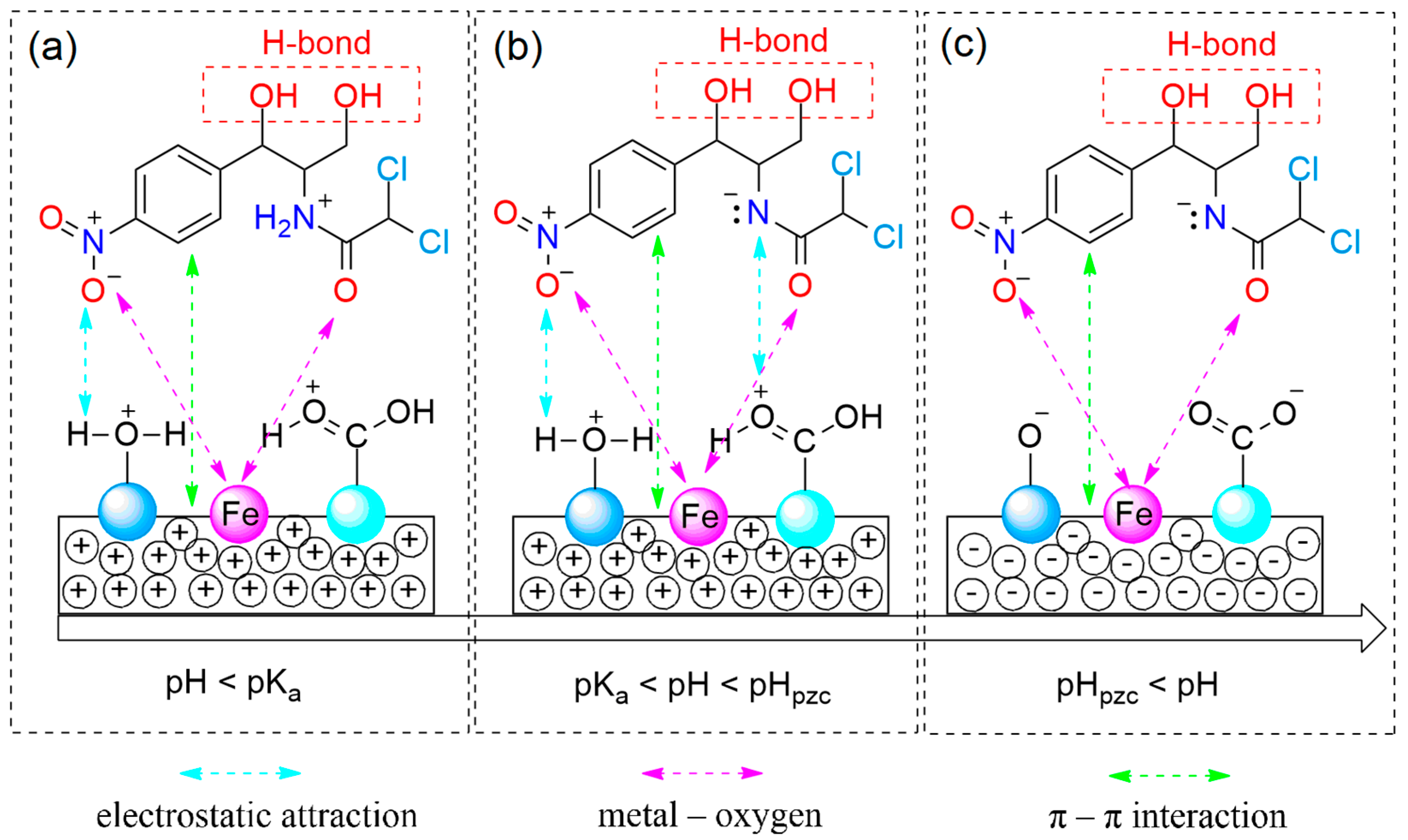 Nanomaterials 09 00237 g008