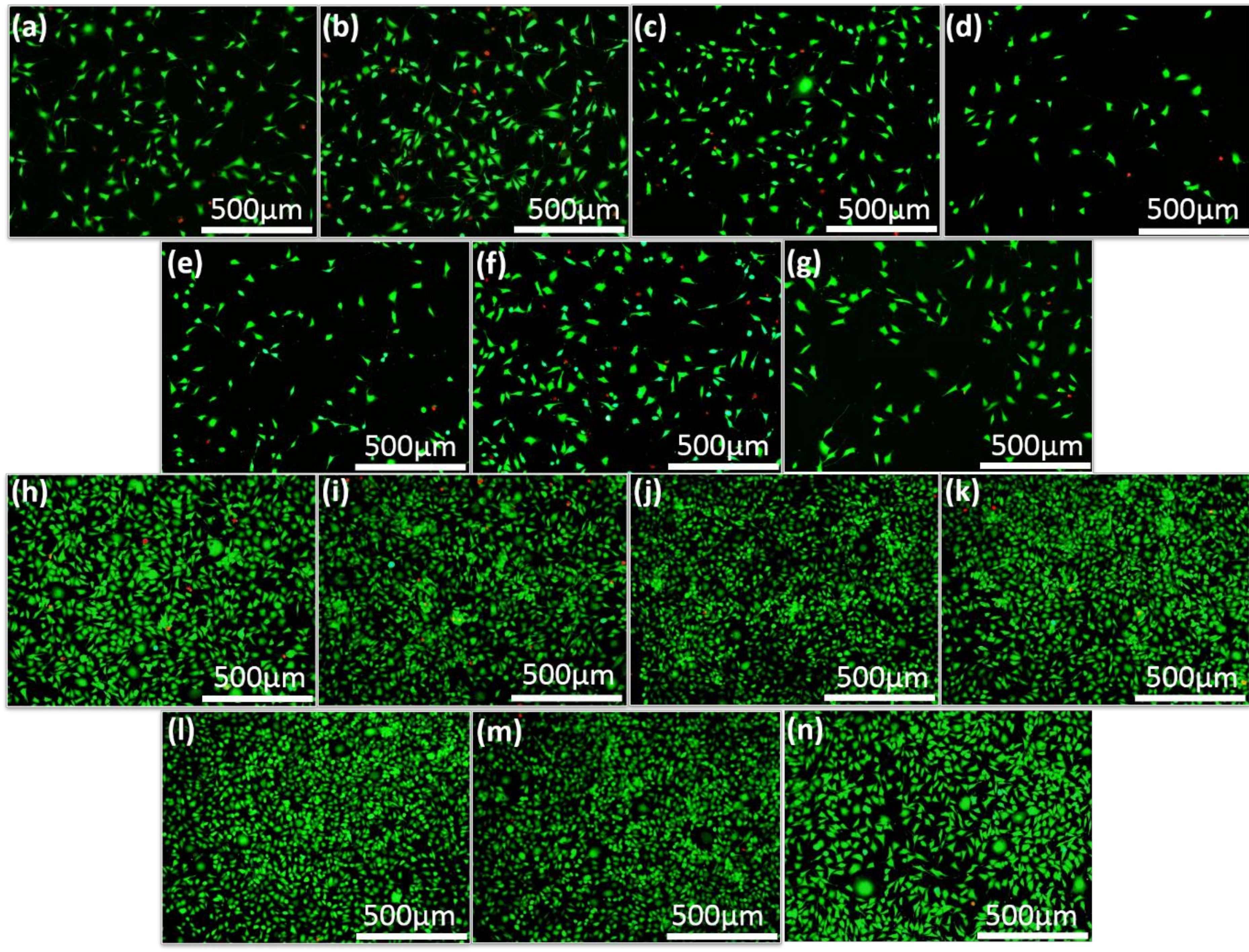 Nanomaterials 09 00241 g005