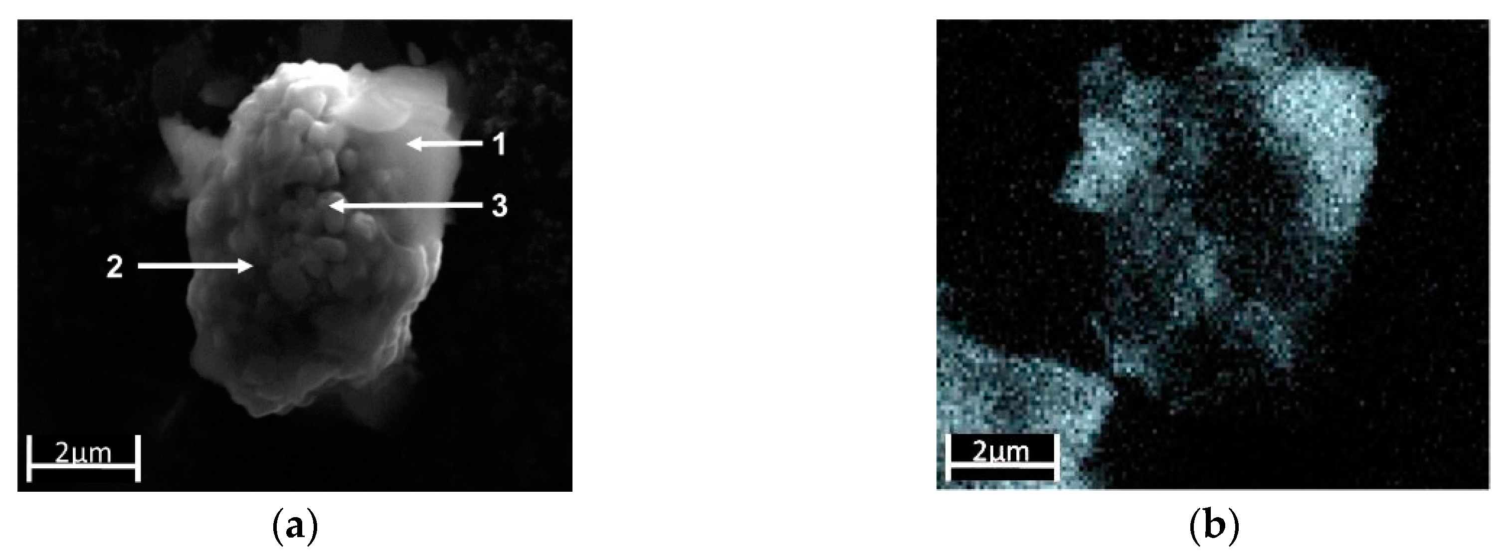 Nanomaterials 09 00246 g006a Nanomaterials 09 00246 g006a
