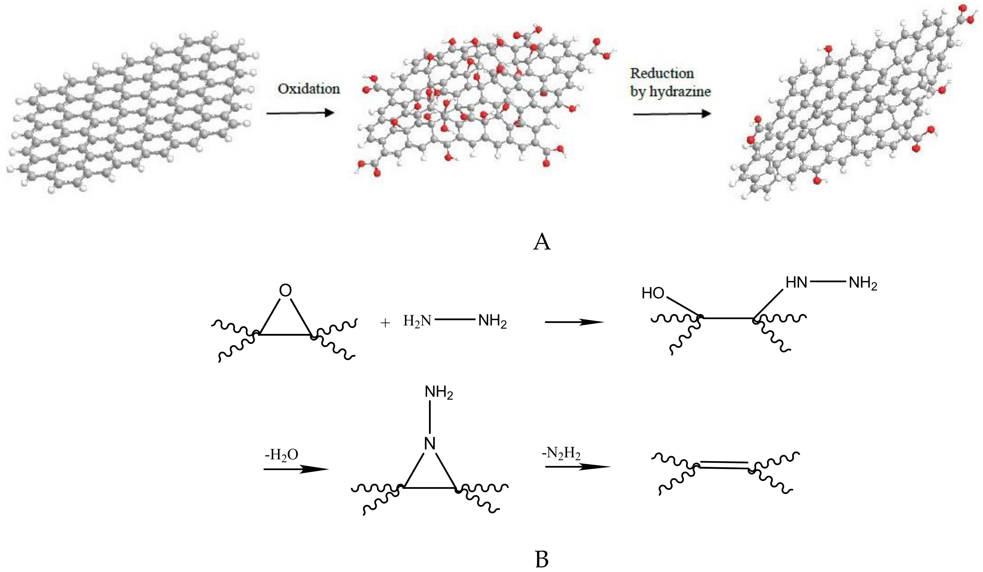 Nanomaterials 09 00252 g001