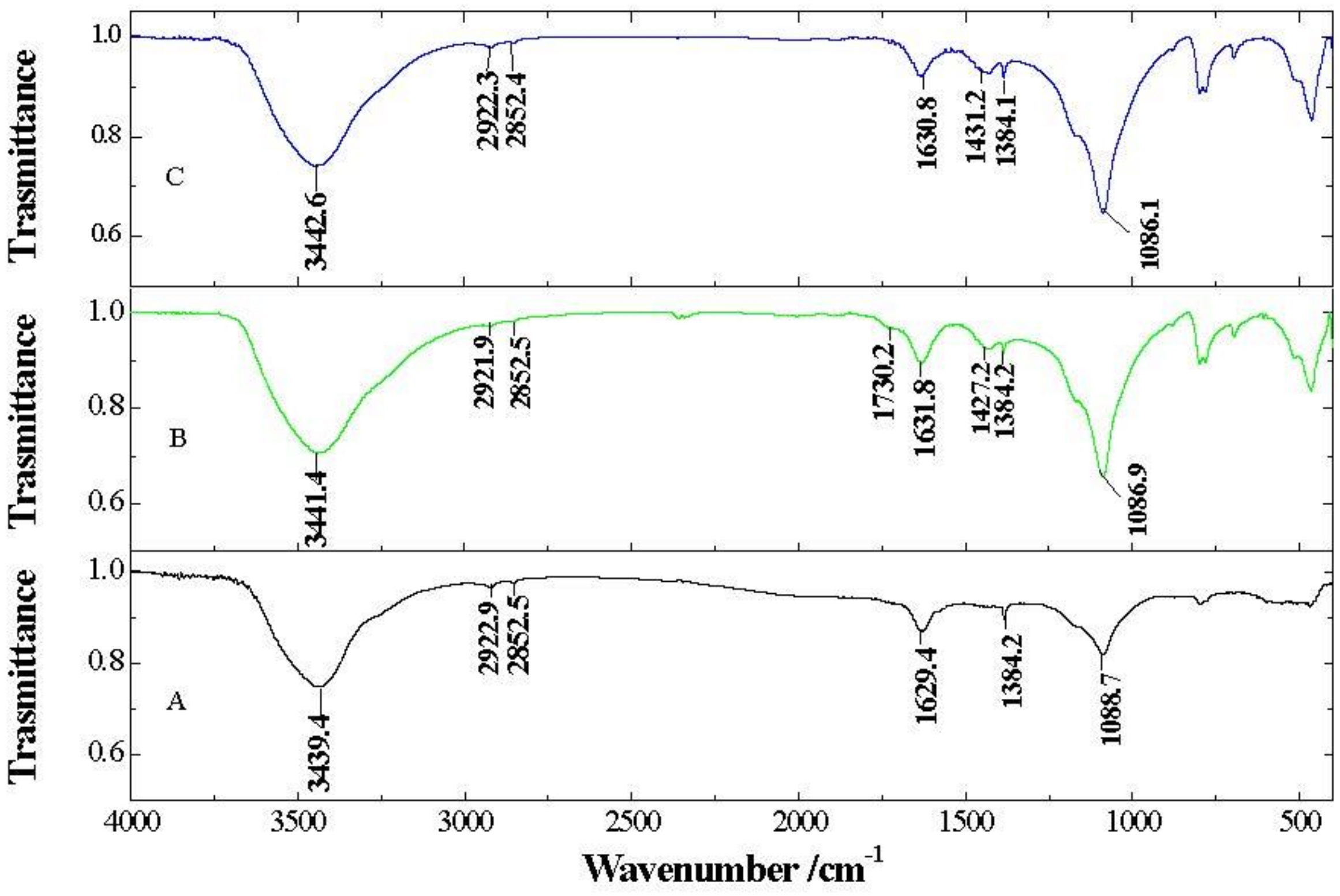 Nanomaterials 09 00252 g003