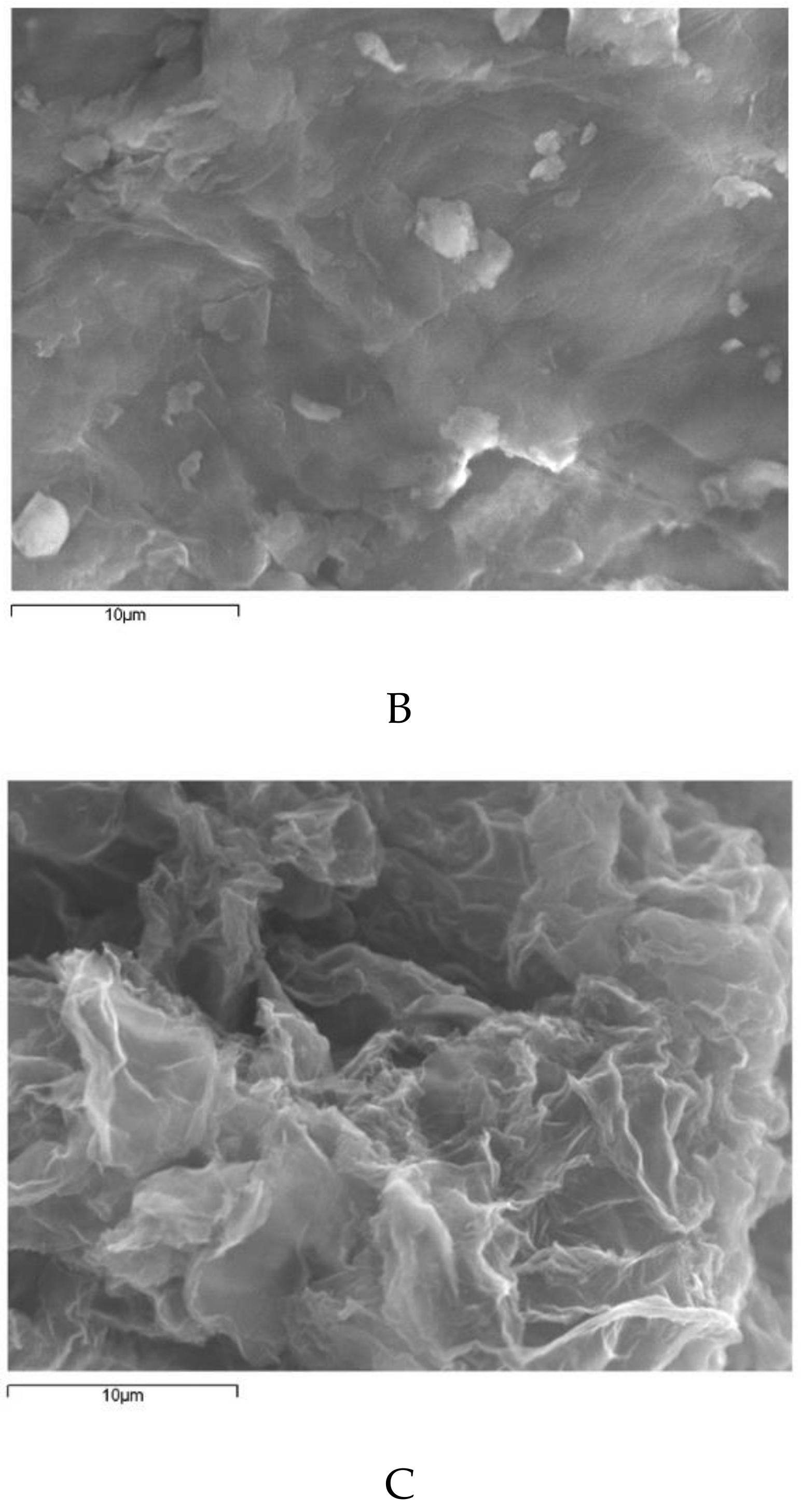 Nanomaterials 09 00252 g004b