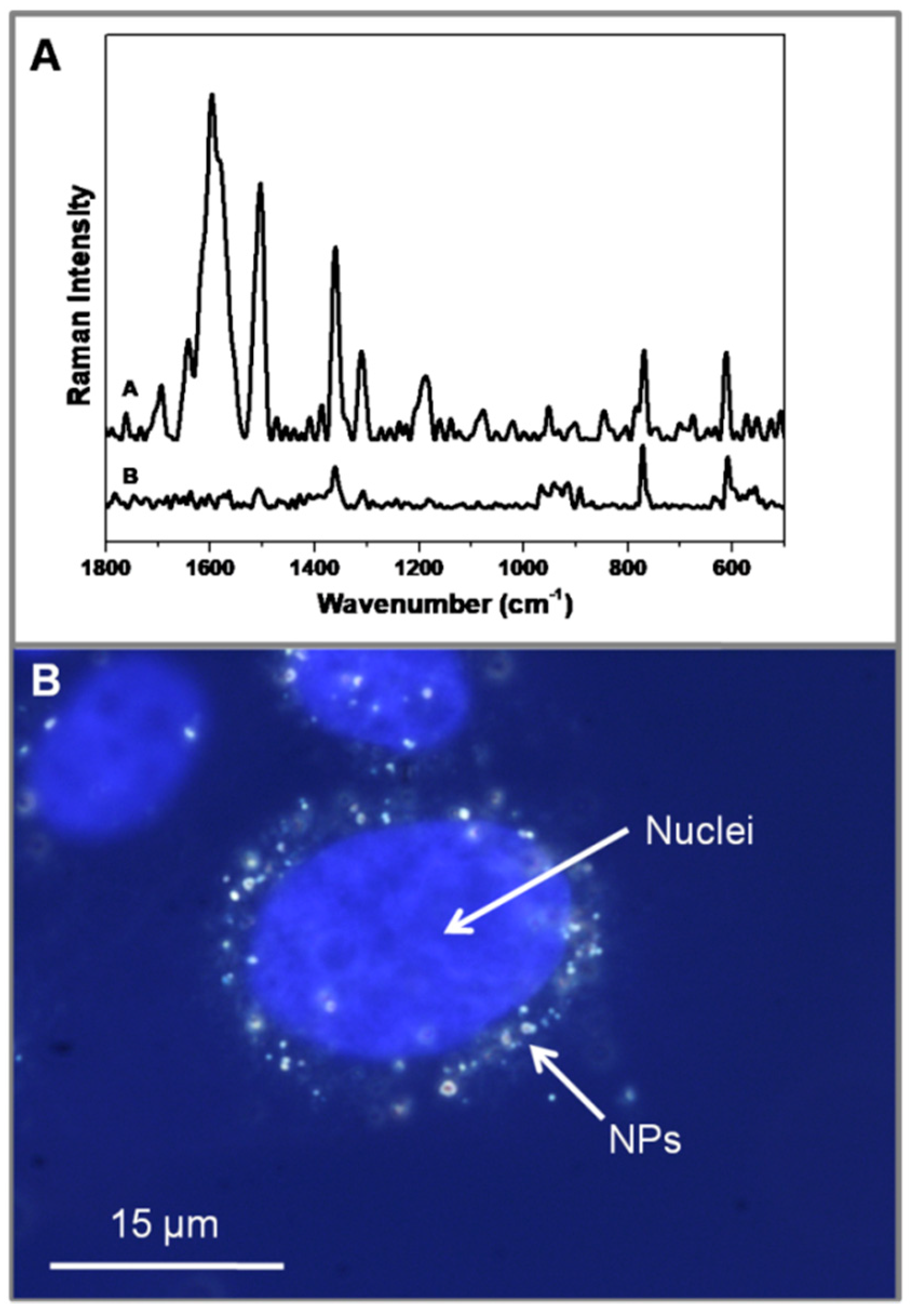 Nanomaterials 09 00256 g005 Nanomaterials 09 00256 g005