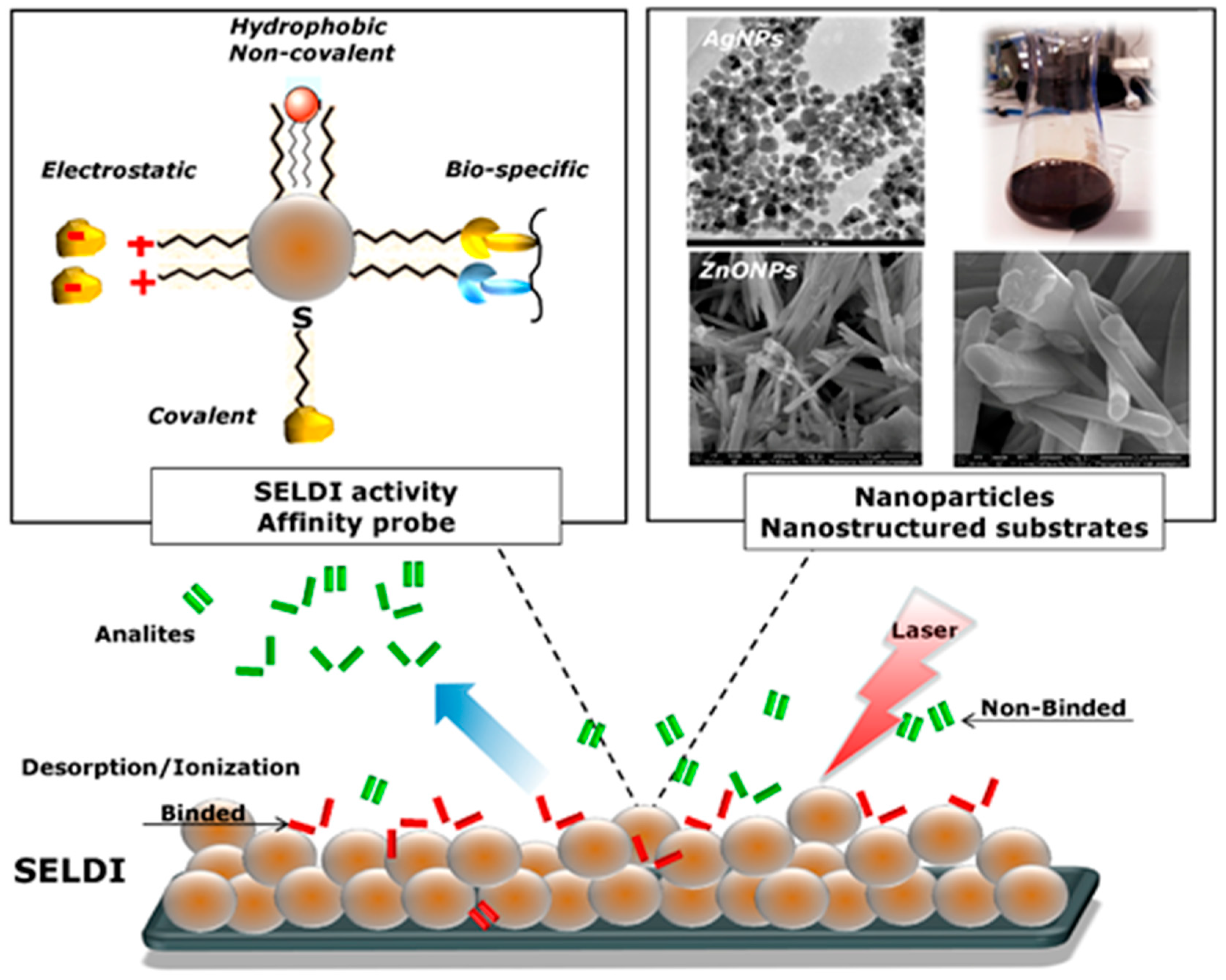 Nanomaterials 09 00260 g003 Nanomaterials 09 00260 g003