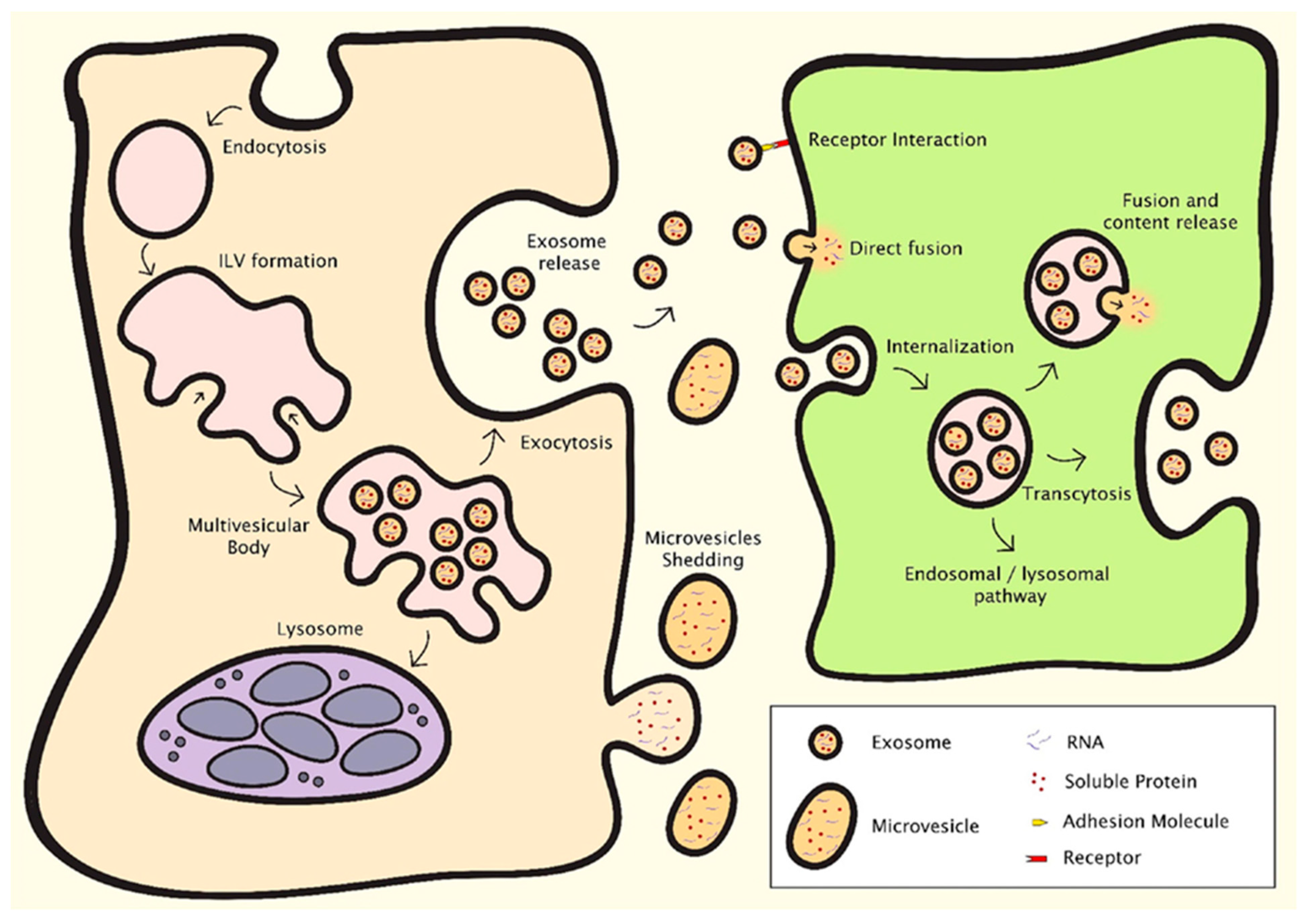 Nanomaterials 09 00261 g001 Nanomaterials 09 00261 g001