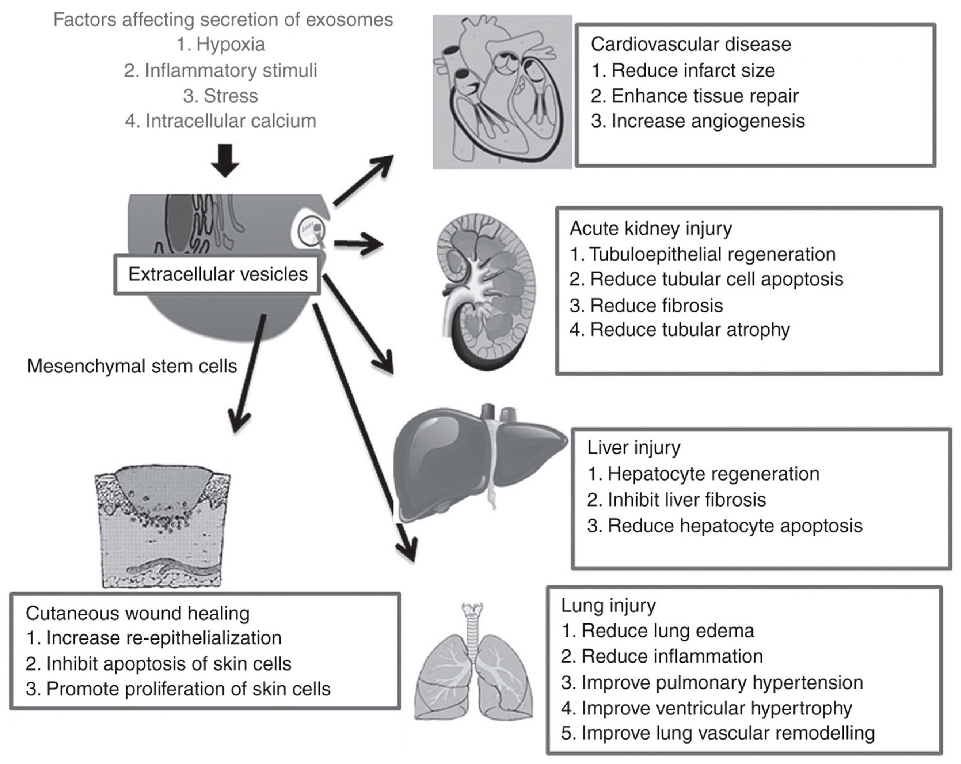 Nanomaterials 09 00261 g002 Nanomaterials 09 00261 g002