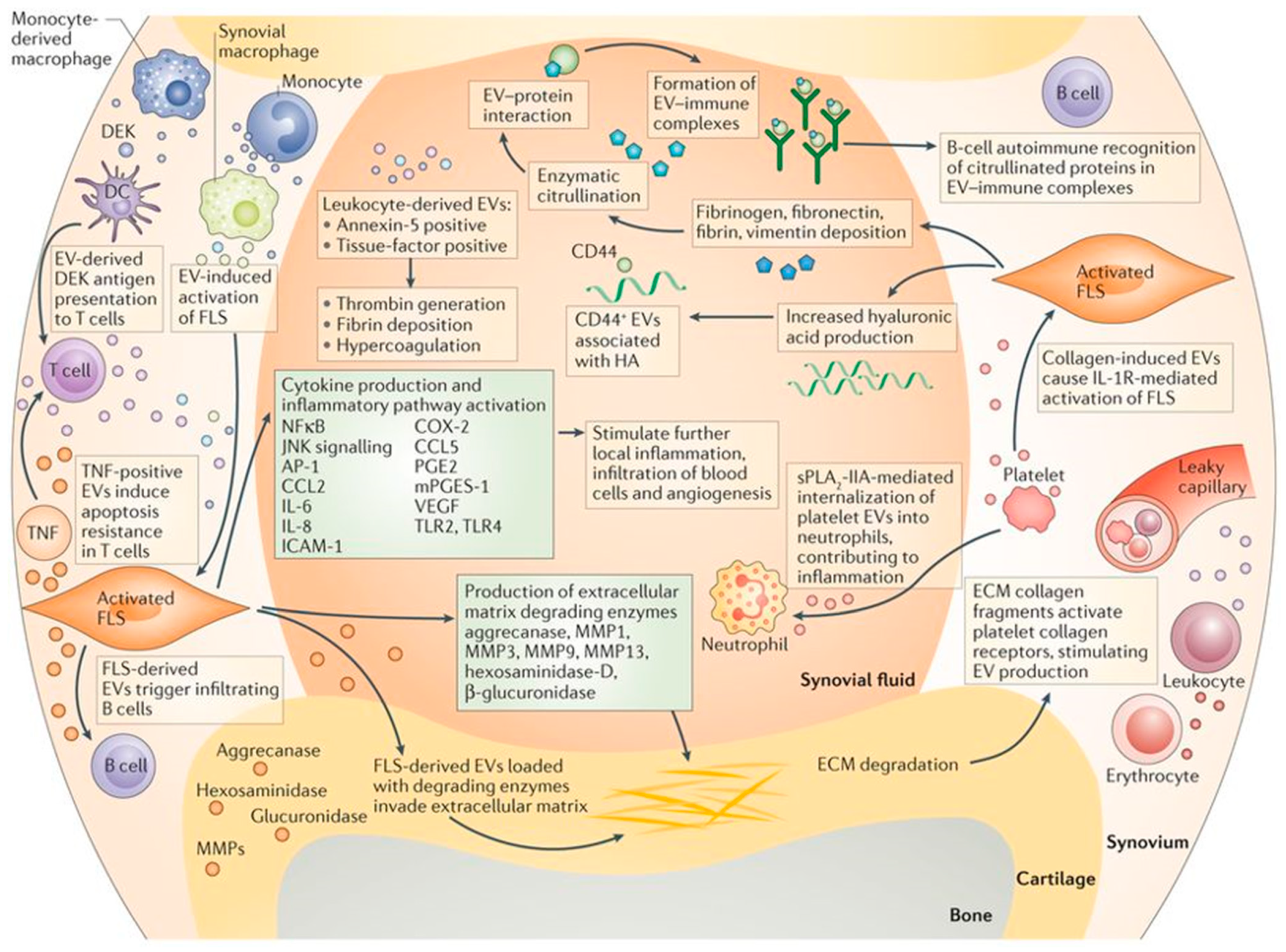 Nanomaterials 09 00261 g003 Nanomaterials 09 00261 g003