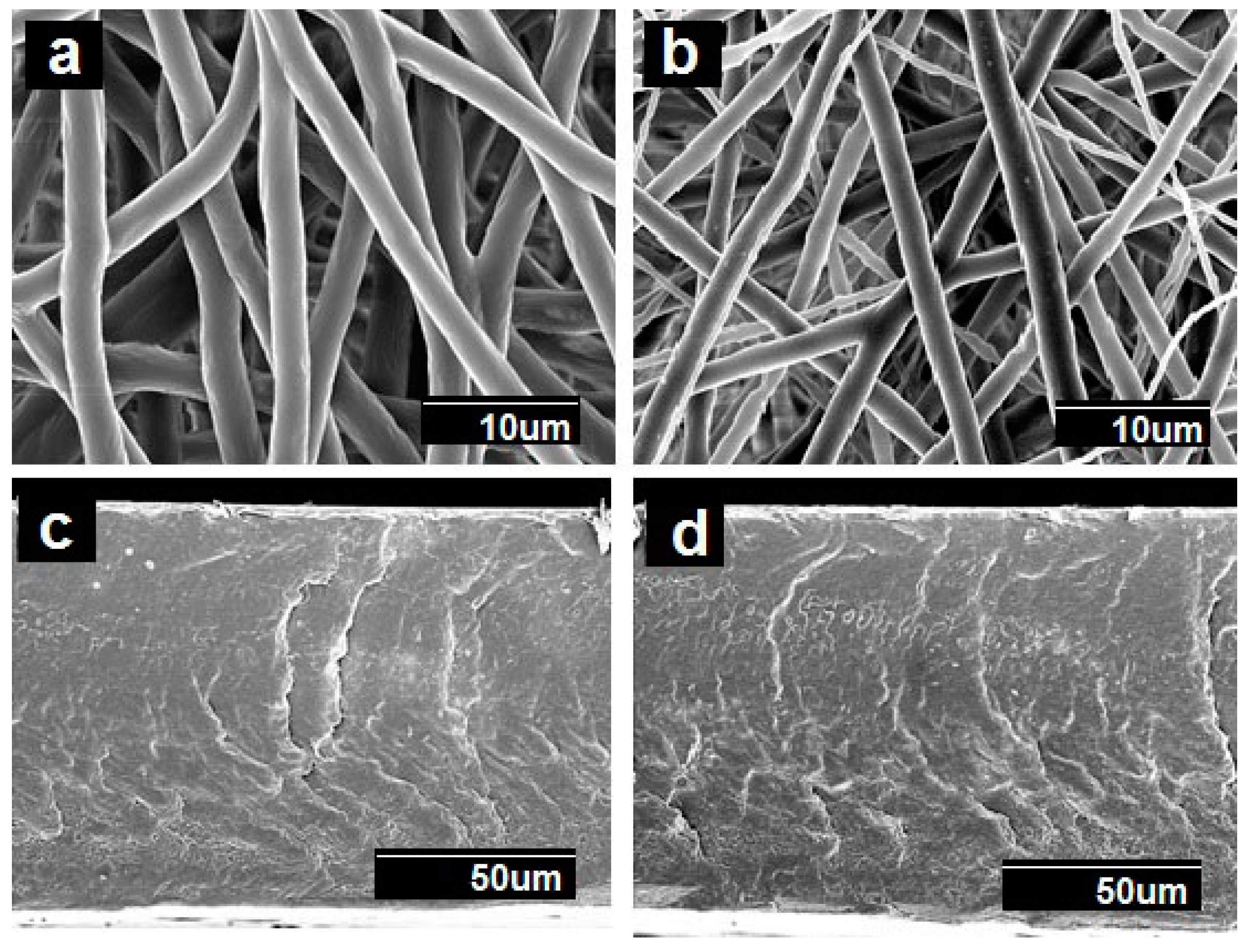 Nanomaterials 09 00262 g001