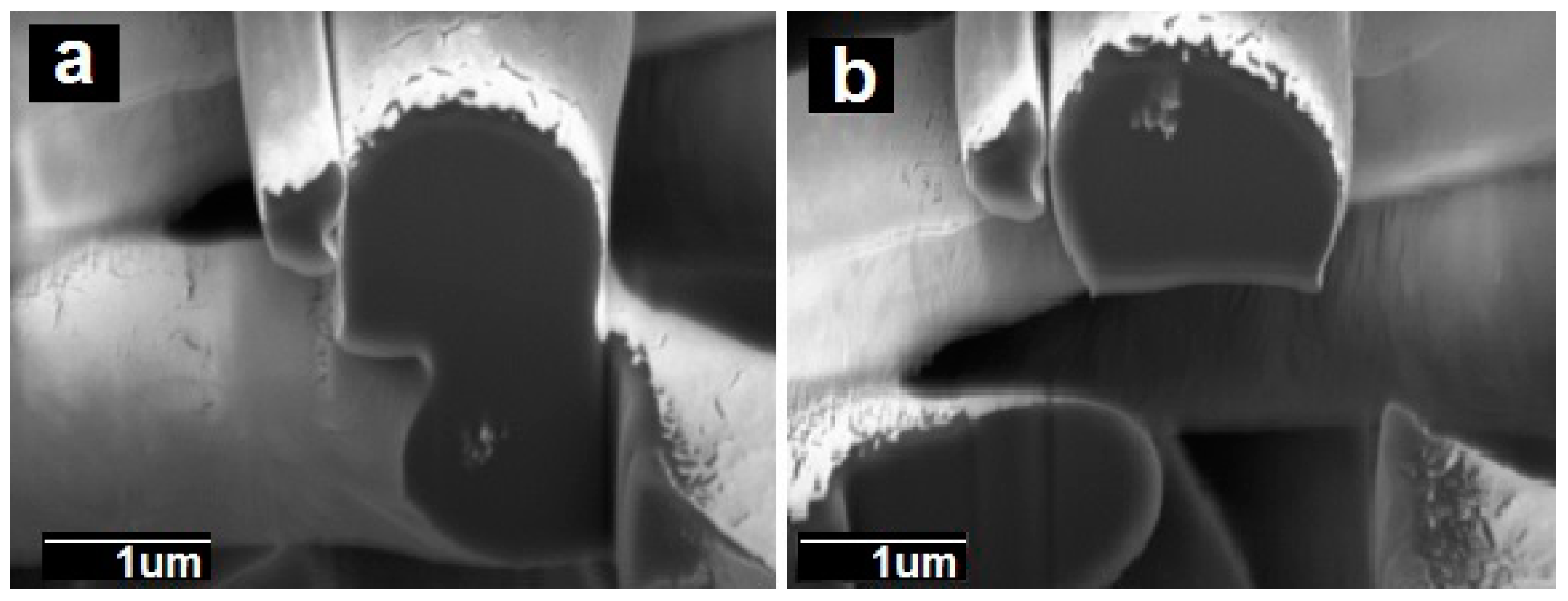 Nanomaterials 09 00262 g002