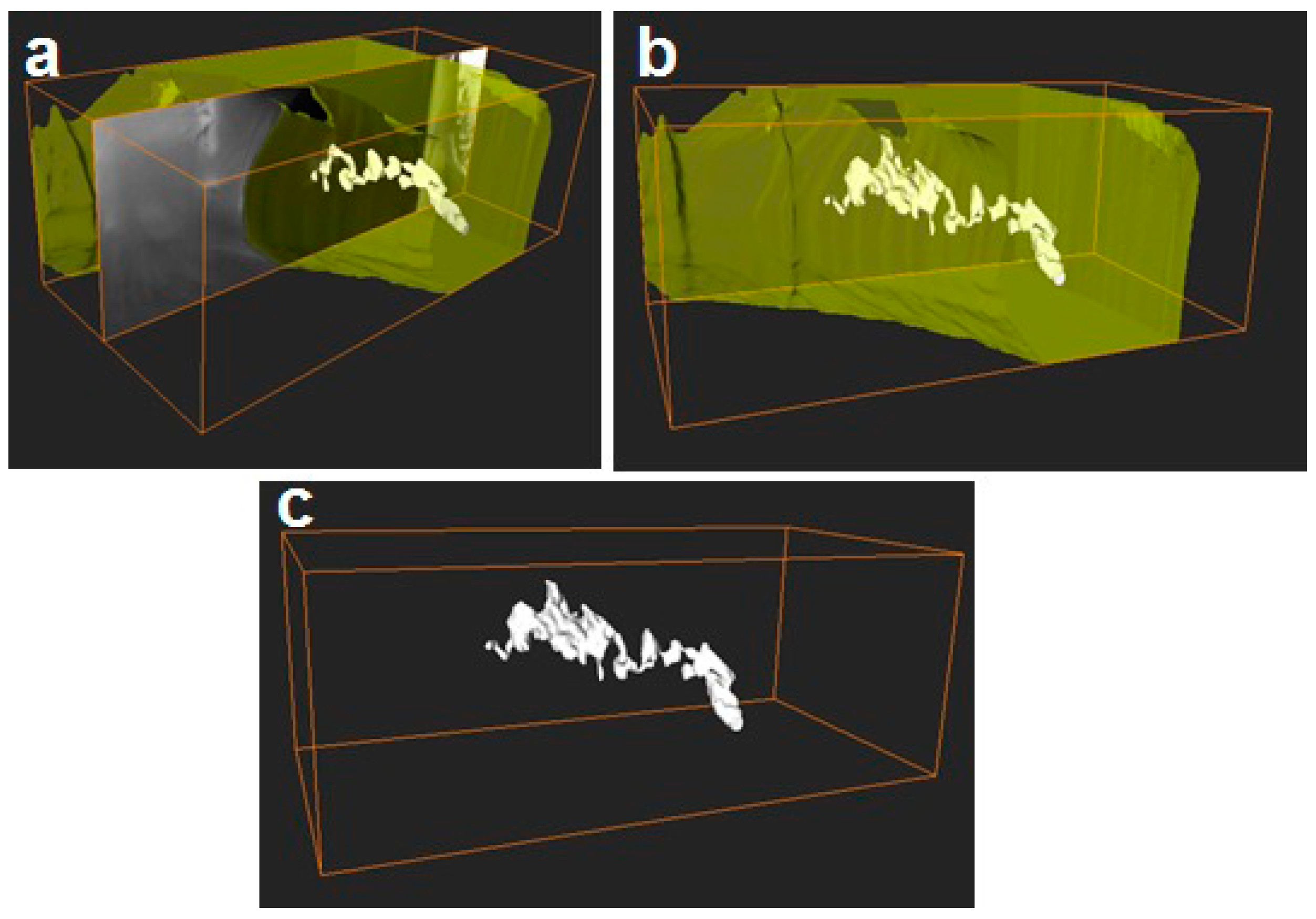 Nanomaterials 09 00262 g003