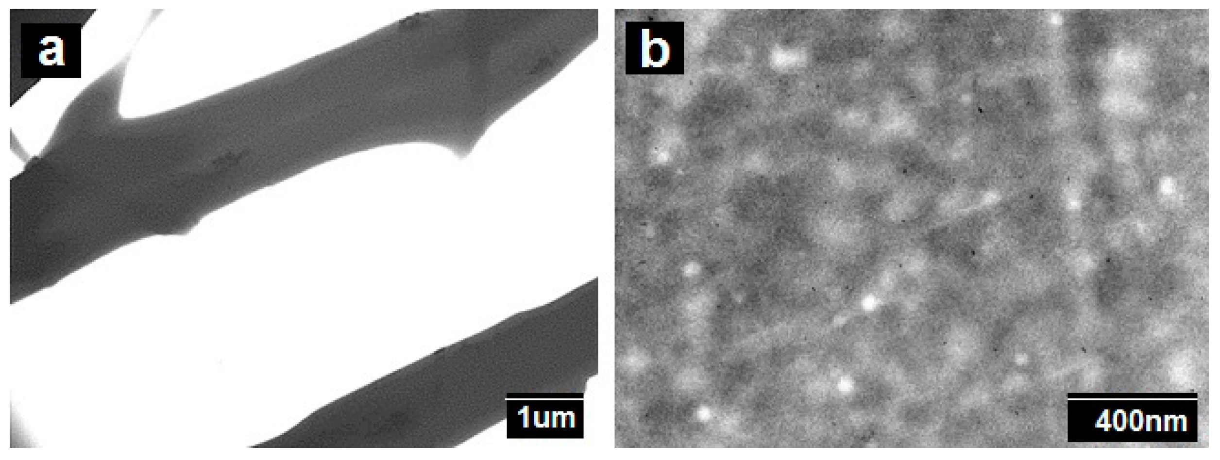 Nanomaterials 09 00262 g004