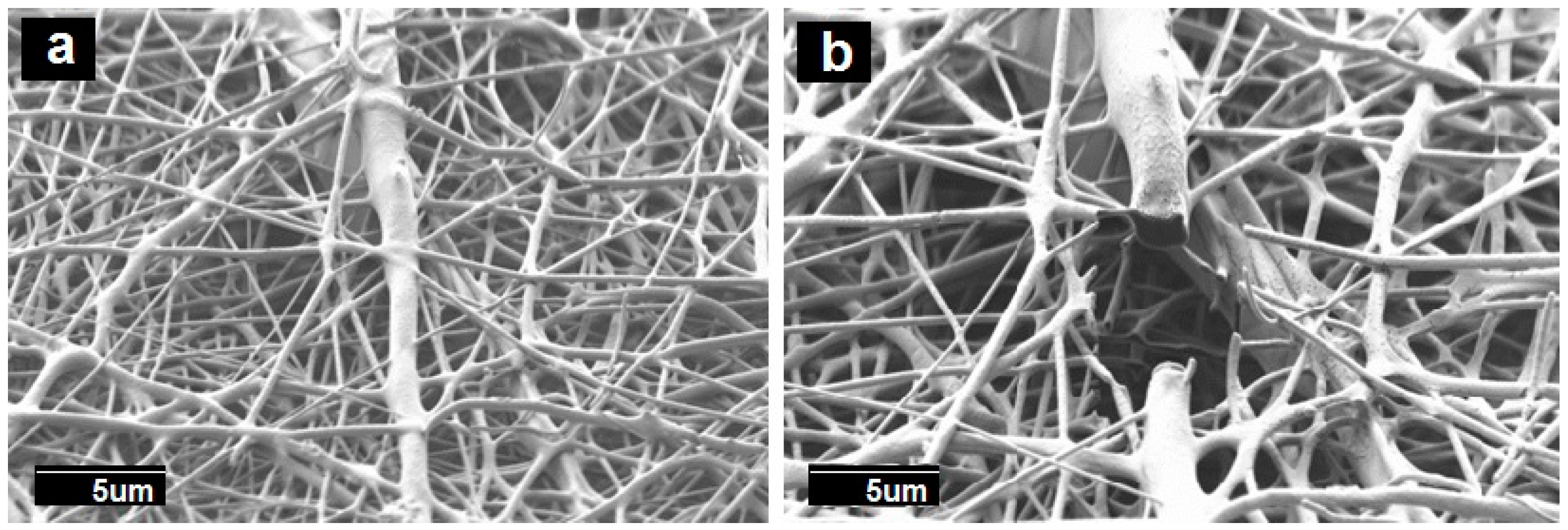 Nanomaterials 09 00262 g007