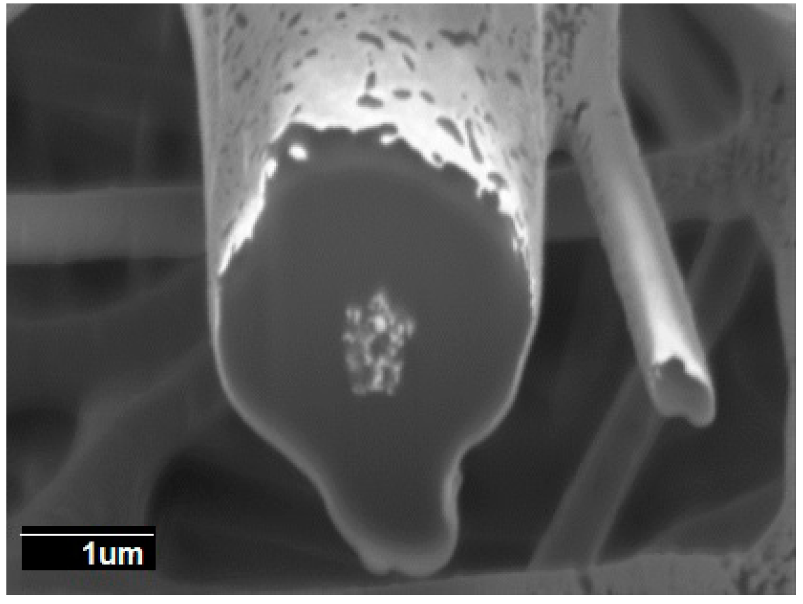 Nanomaterials 09 00262 g008