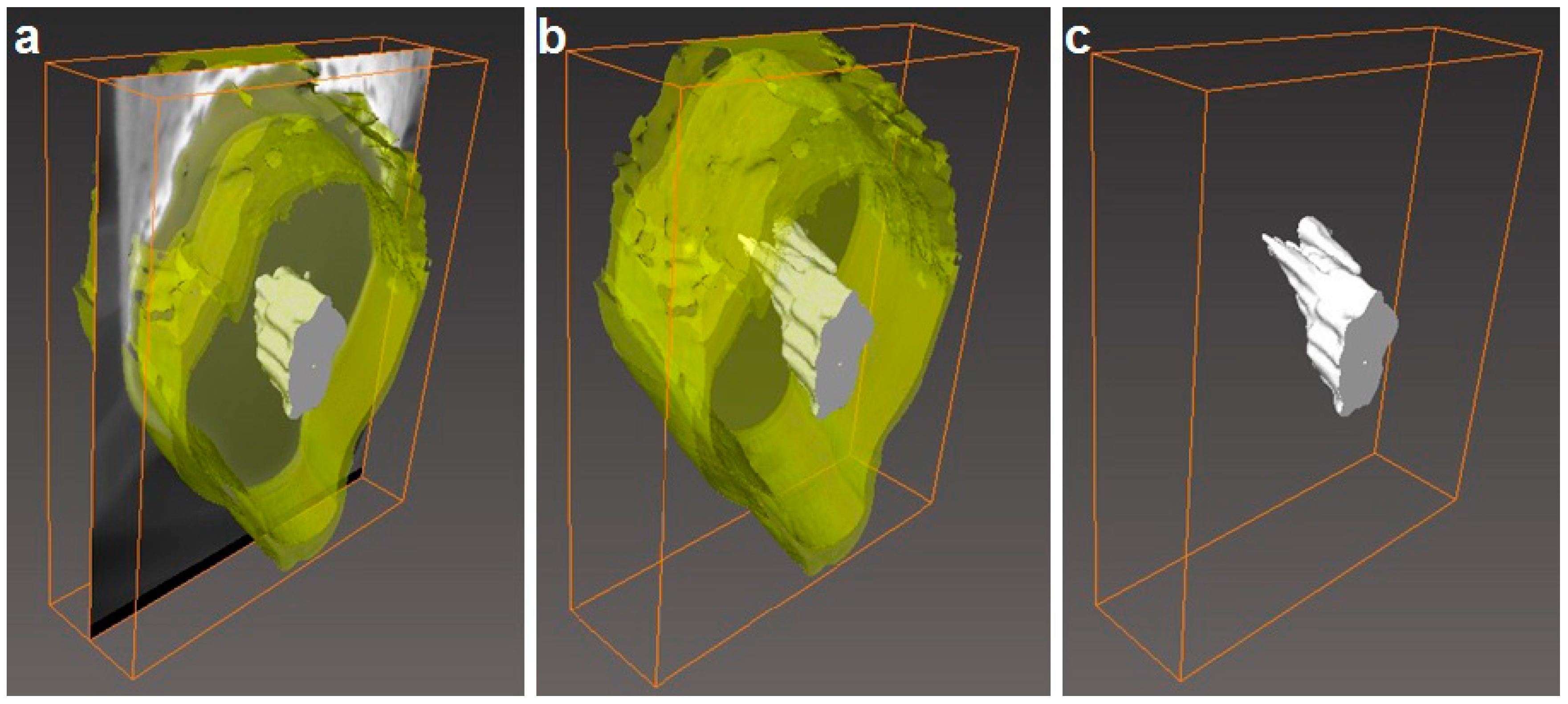 Nanomaterials 09 00262 g009