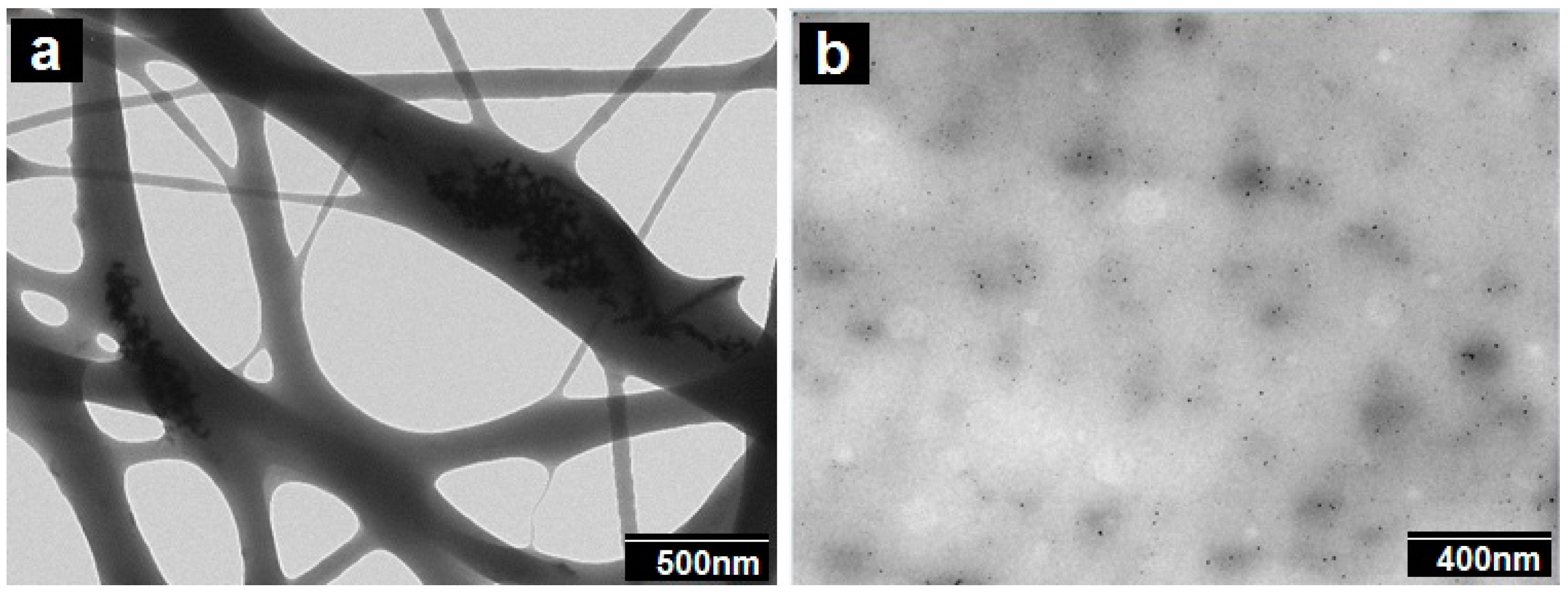 Nanomaterials 09 00262 g010