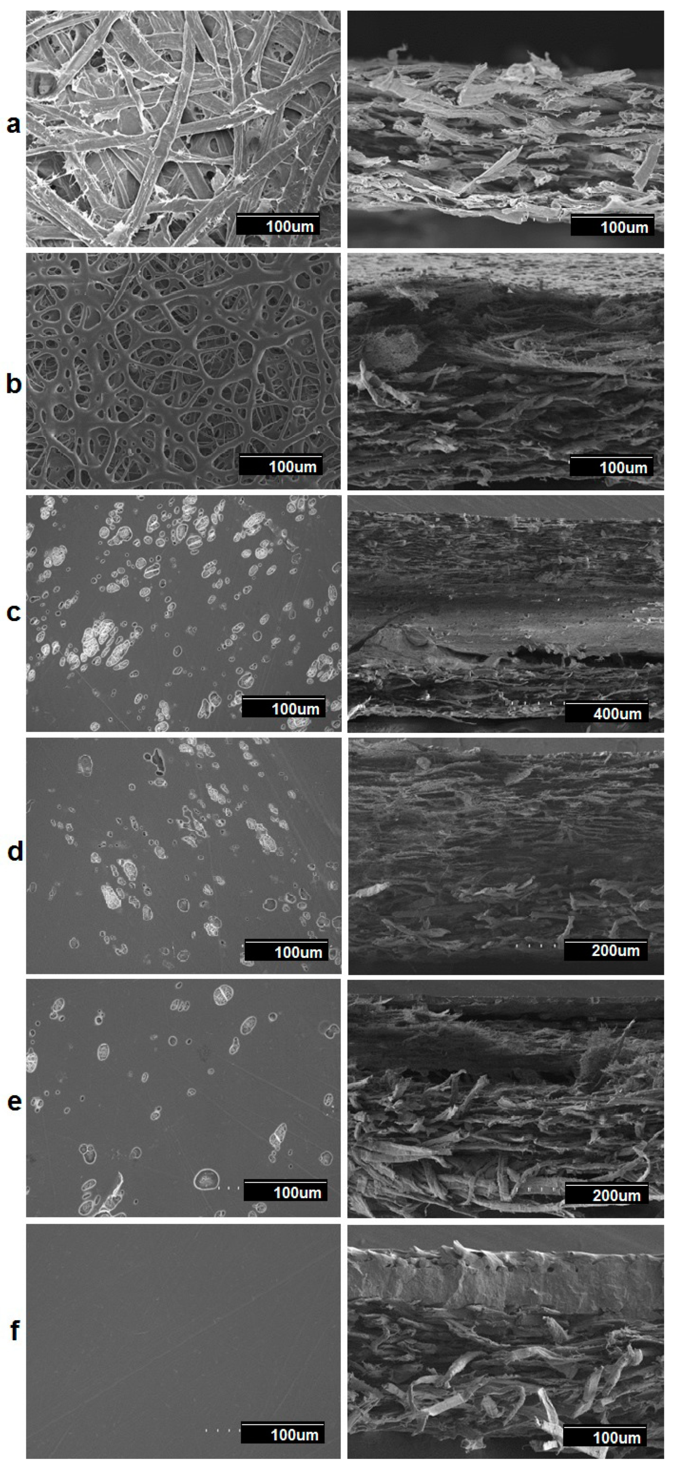 Nanomaterials 09 00262 g011