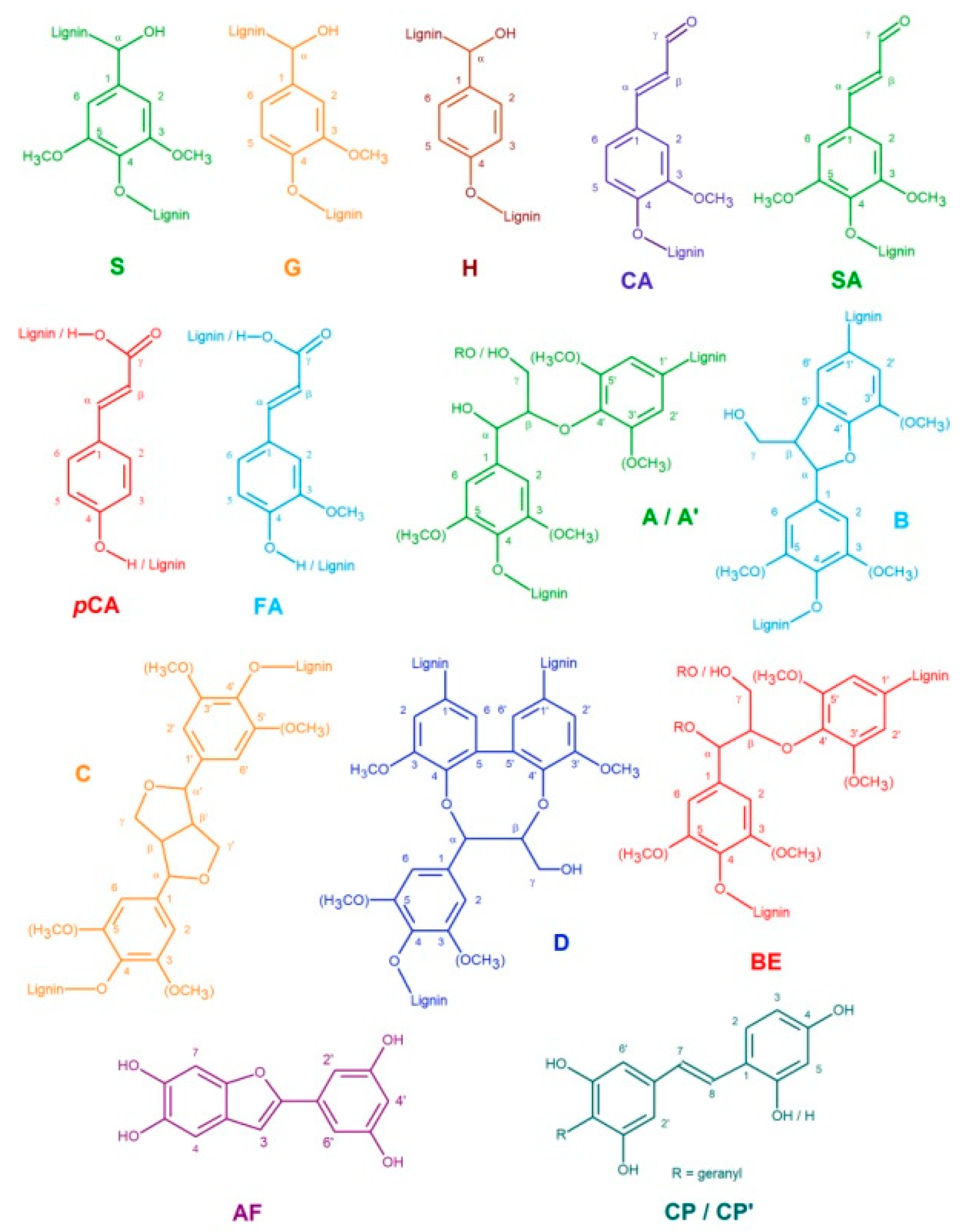 Nanomaterials 09 00281 g004