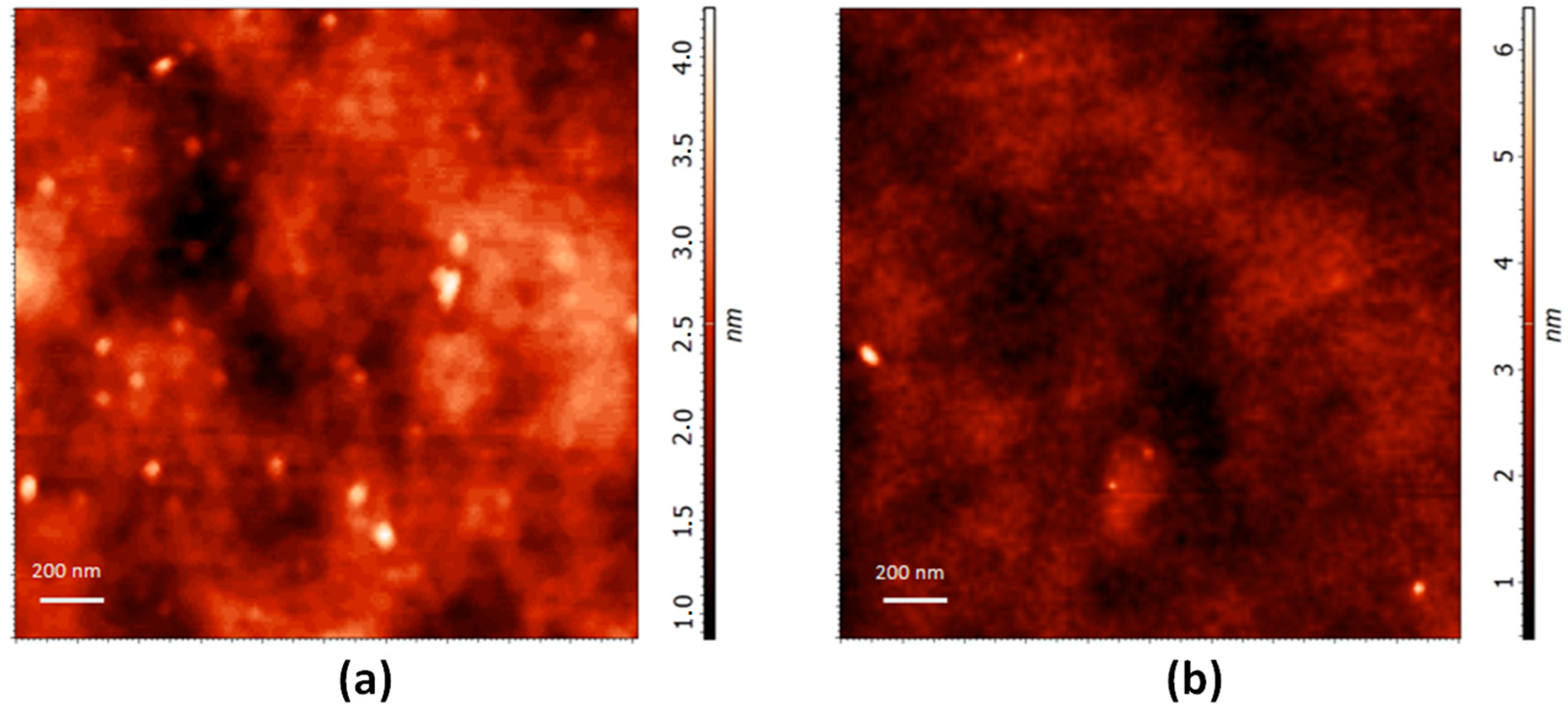 Nanomaterials 09 00282 g006