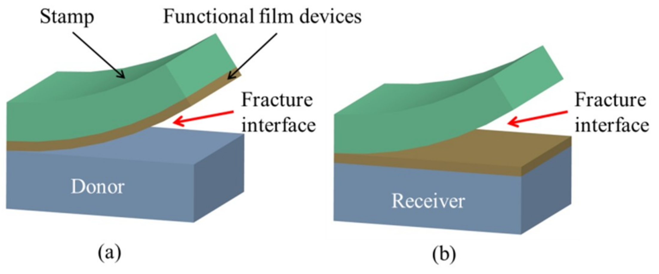 Nanomaterials 09 00283 g002