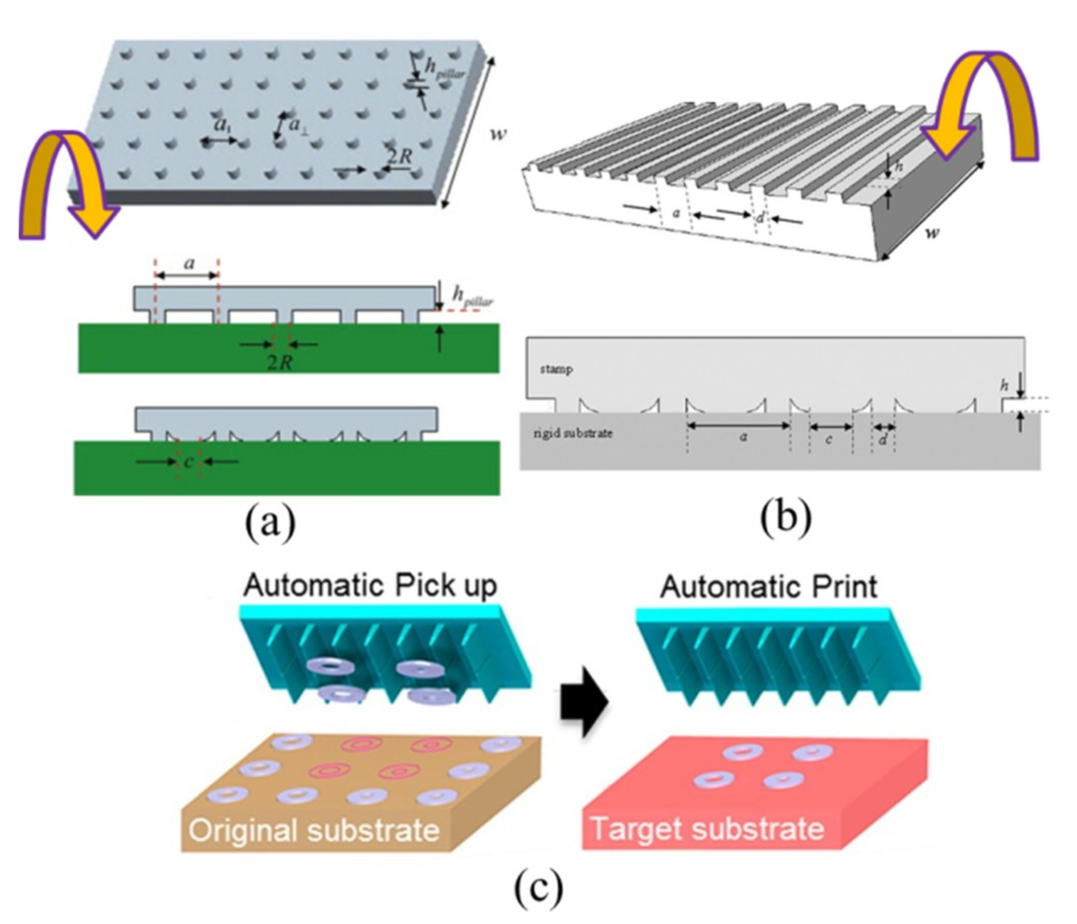Nanomaterials 09 00283 g008