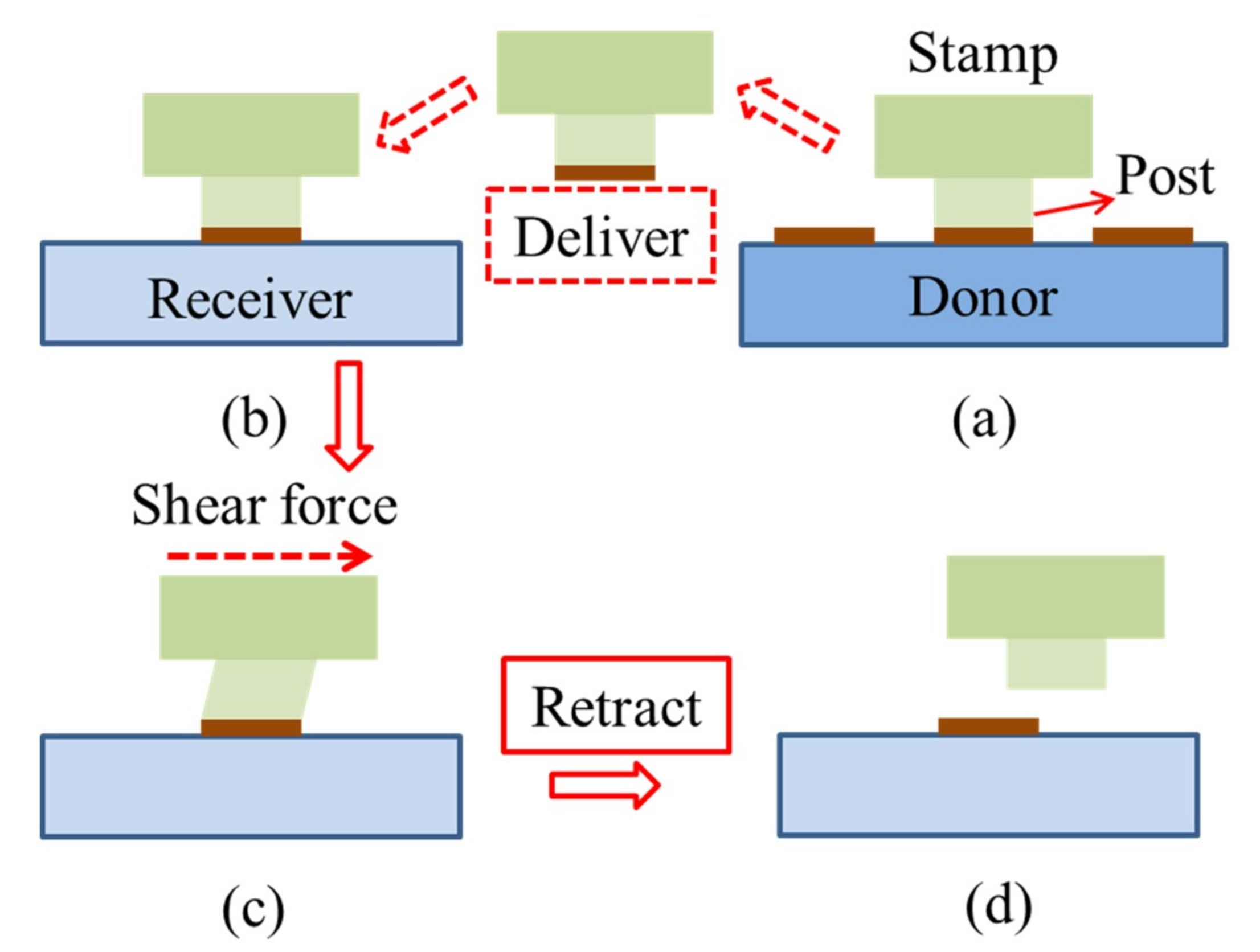 Nanomaterials 09 00283 g009
