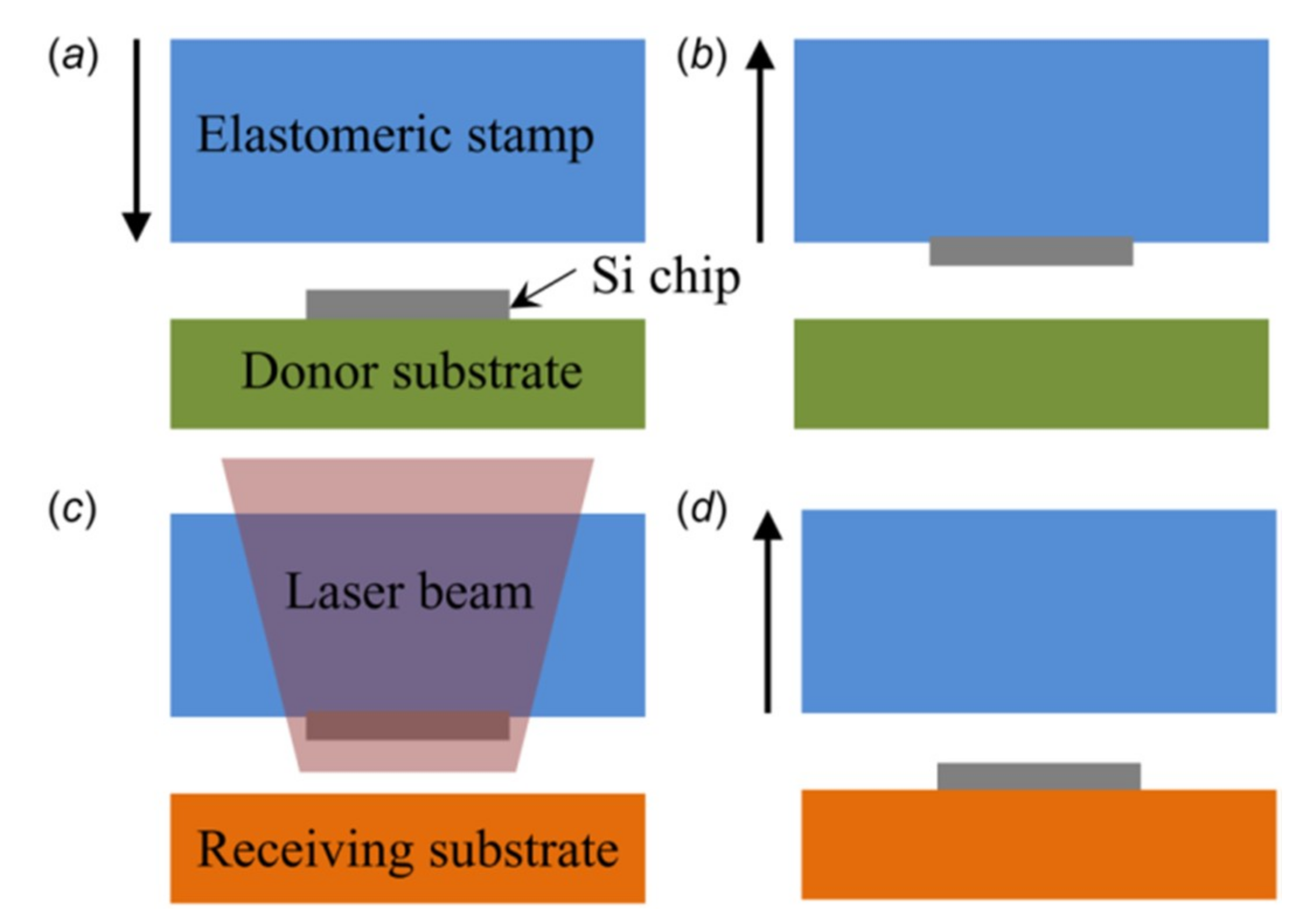 Nanomaterials 09 00283 g011