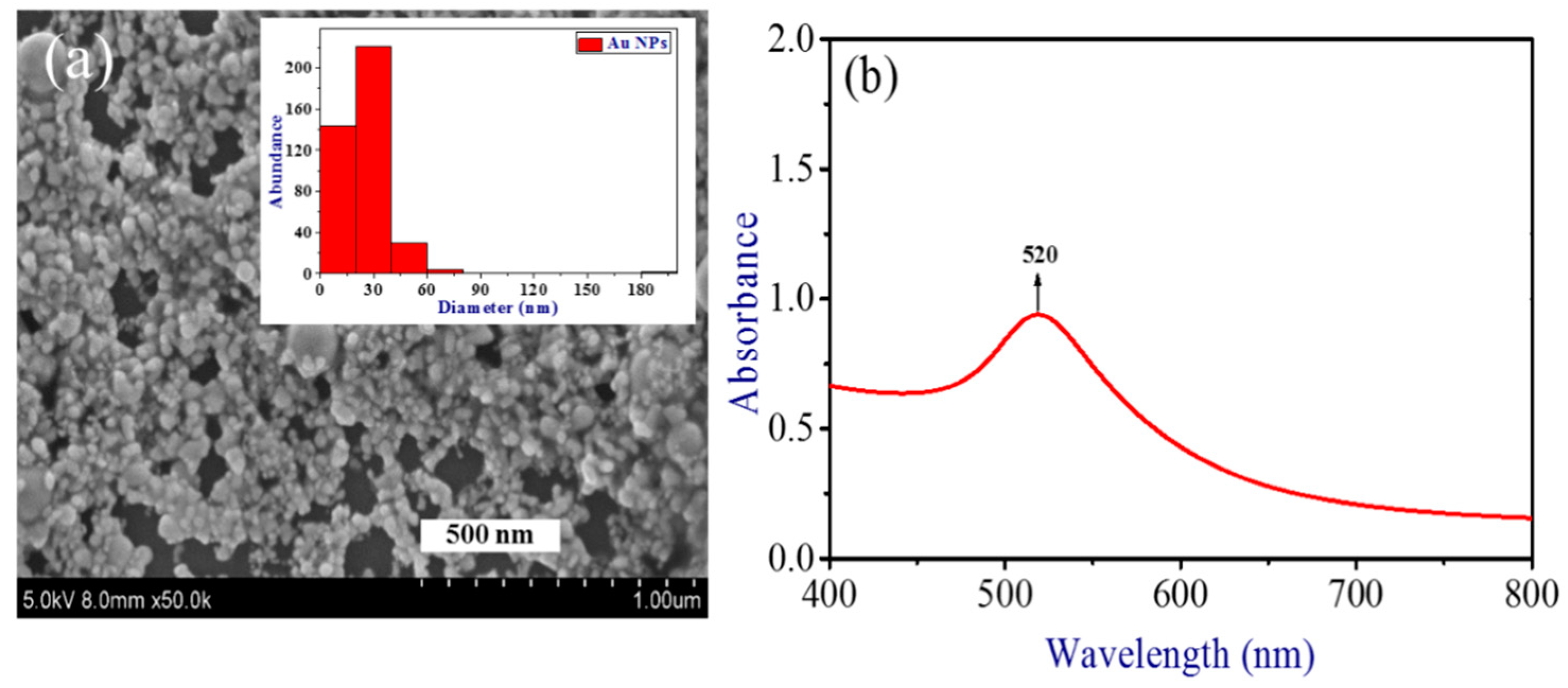 Nanomaterials 09 00291 g002 Nanomaterials 09 00291 g002