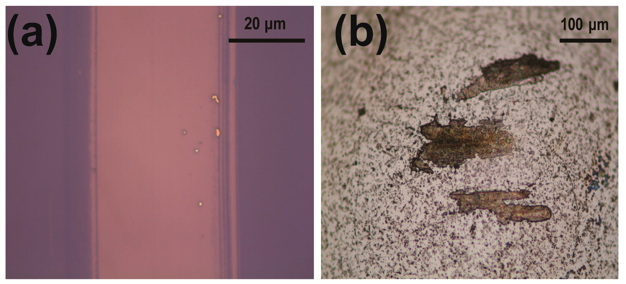 Nanomaterials 09 00293 g007