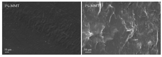 Nanomaterials 09 00298 g002a Nanomaterials 09 00298 g002a