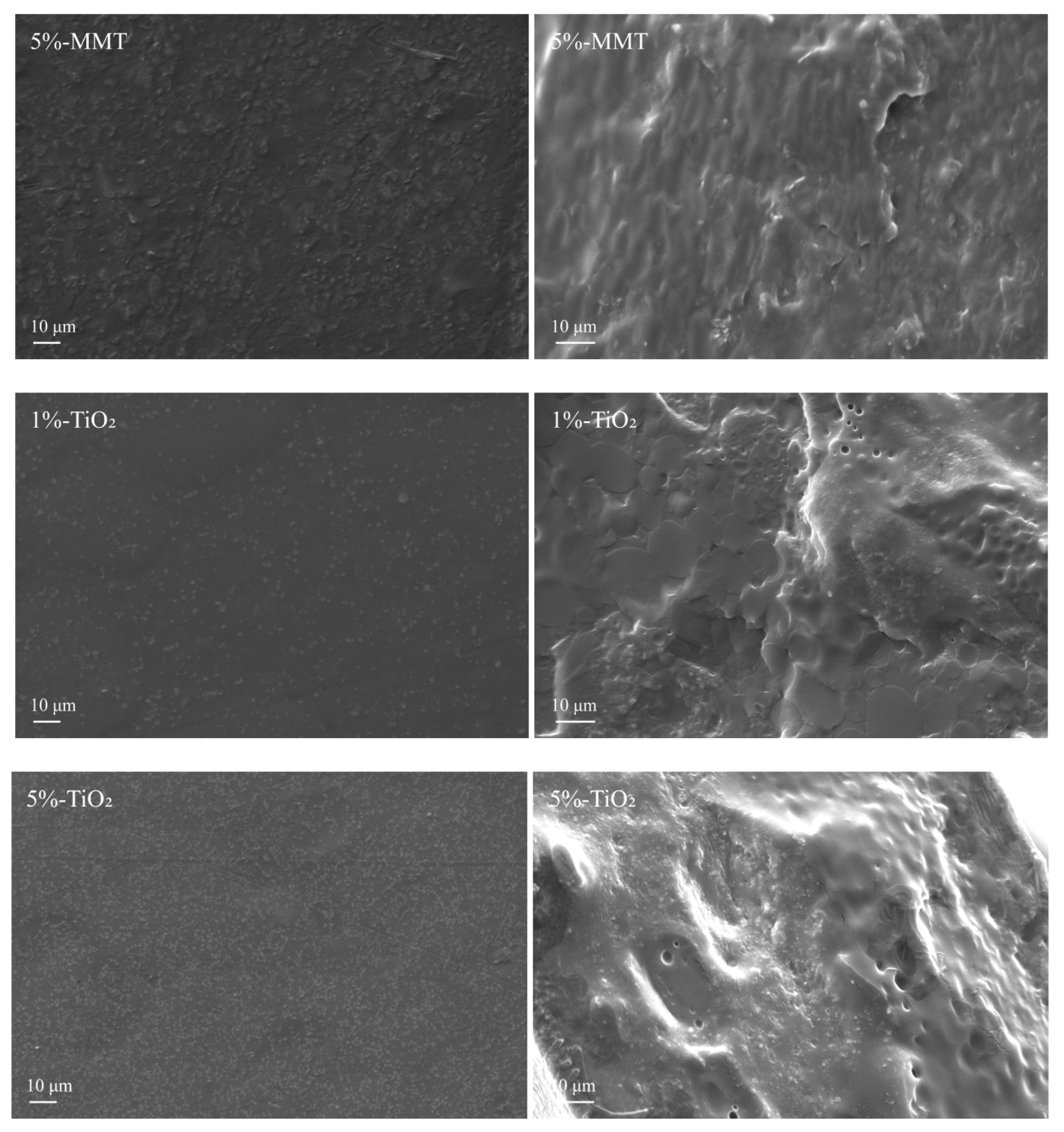 Nanomaterials 09 00298 g002b Nanomaterials 09 00298 g002b