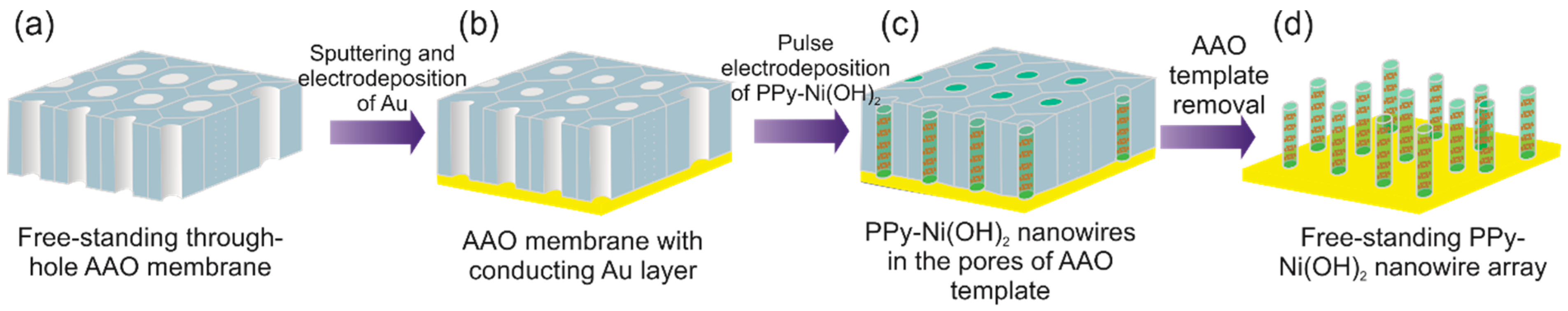Nanomaterials 09 00307 g001 Nanomaterials 09 00307 g001