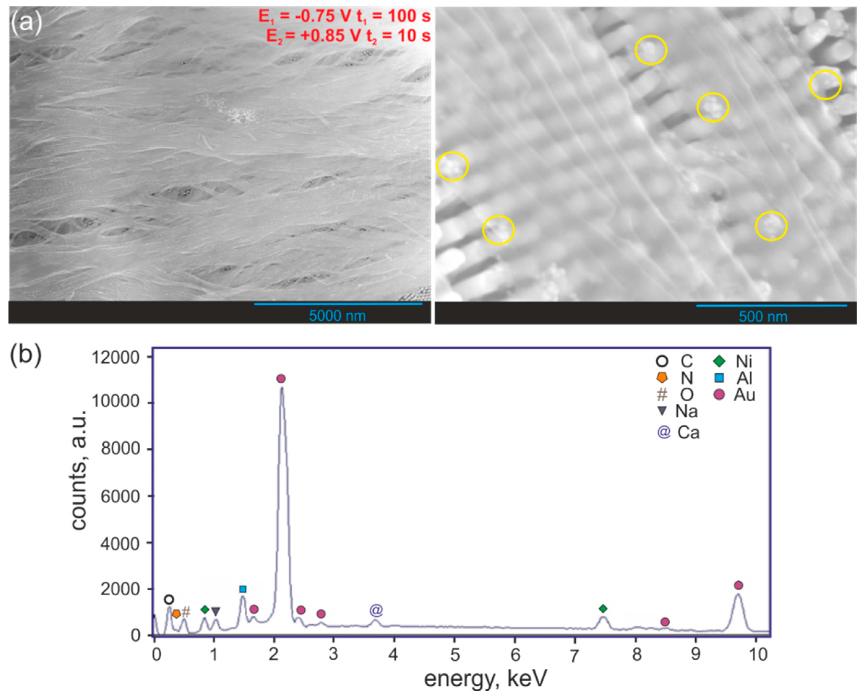 Nanomaterials 09 00307 g003 Nanomaterials 09 00307 g003