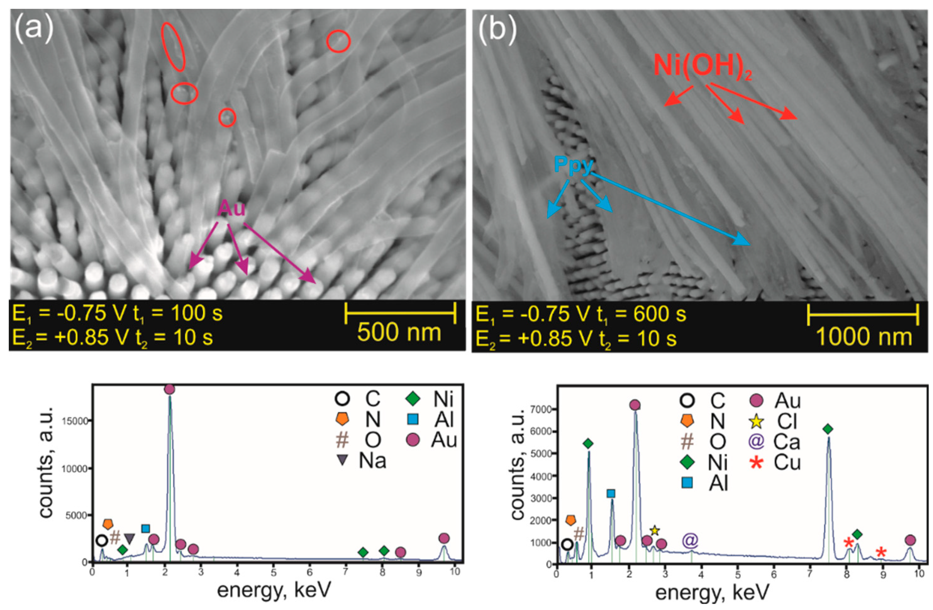 Nanomaterials 09 00307 g004 Nanomaterials 09 00307 g004