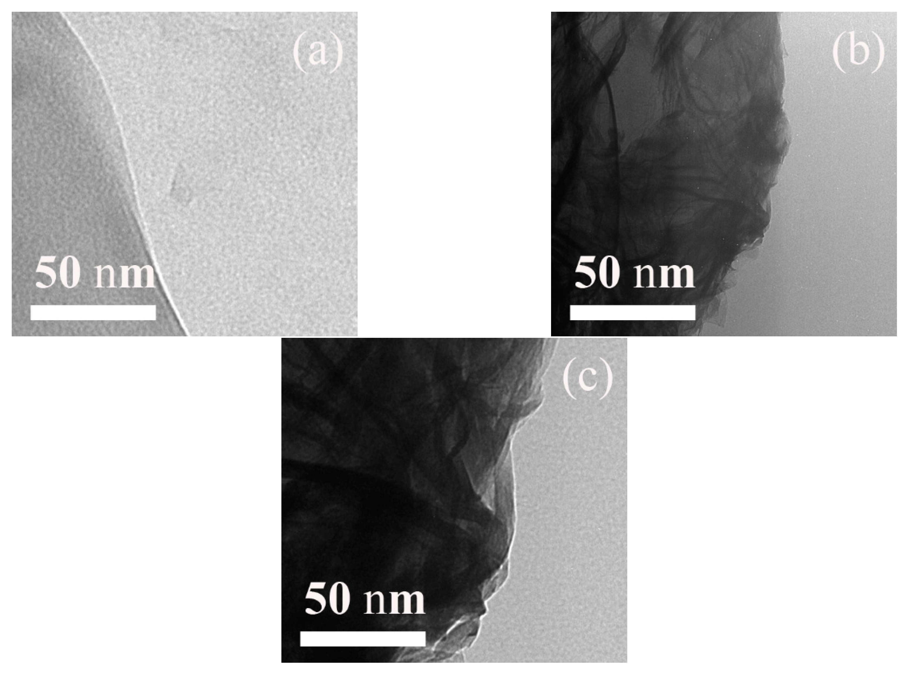 Nanomaterials 09 00308 g001 Nanomaterials 09 00308 g001