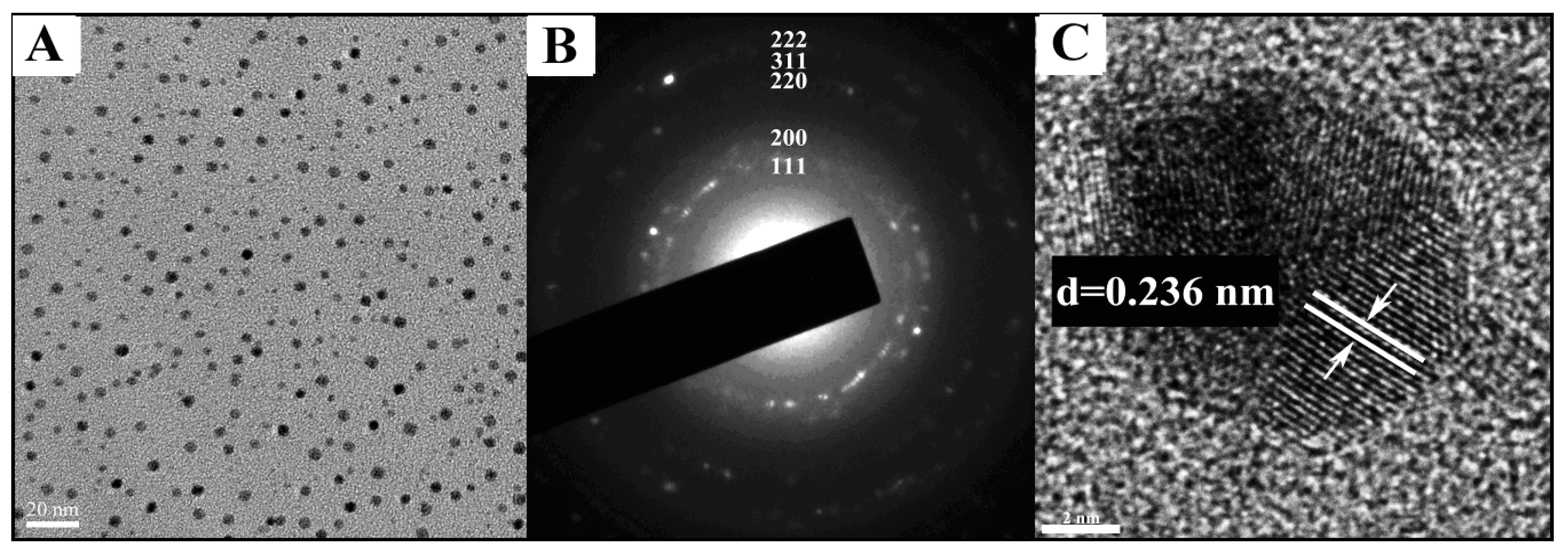 Nanomaterials 09 00310 g006