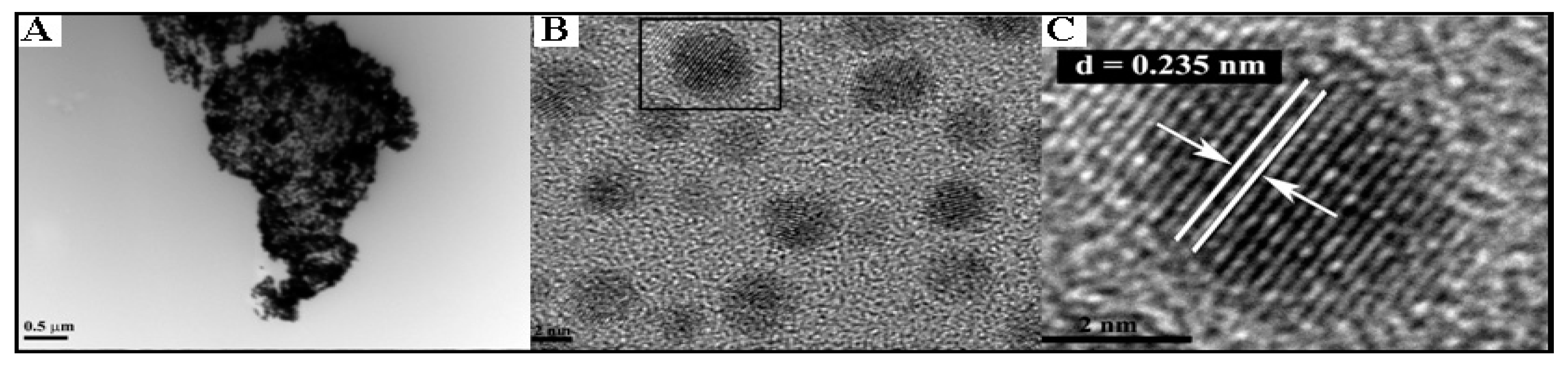 Nanomaterials 09 00310 g007