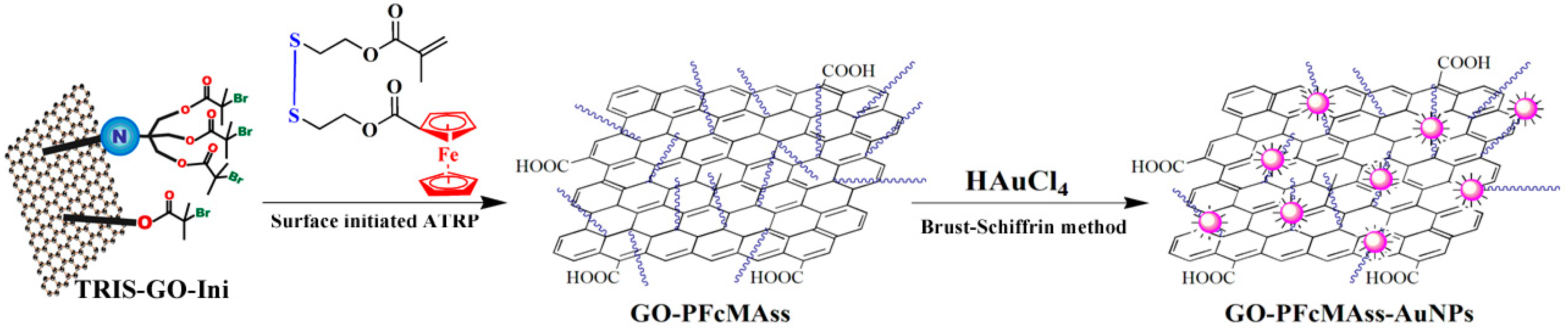 Nanomaterials 09 00310 sch001