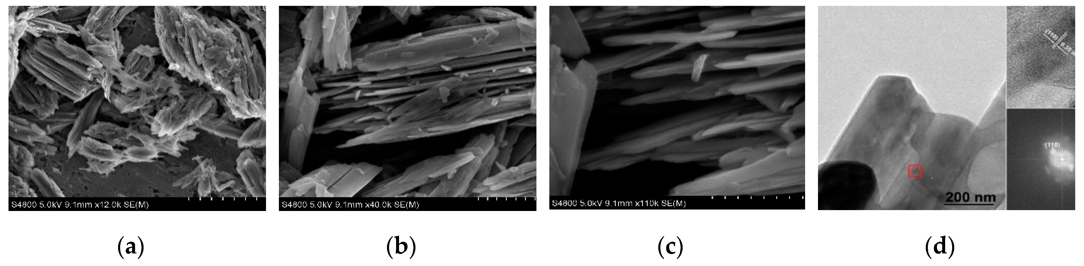 Nanomaterials 09 00317 g002