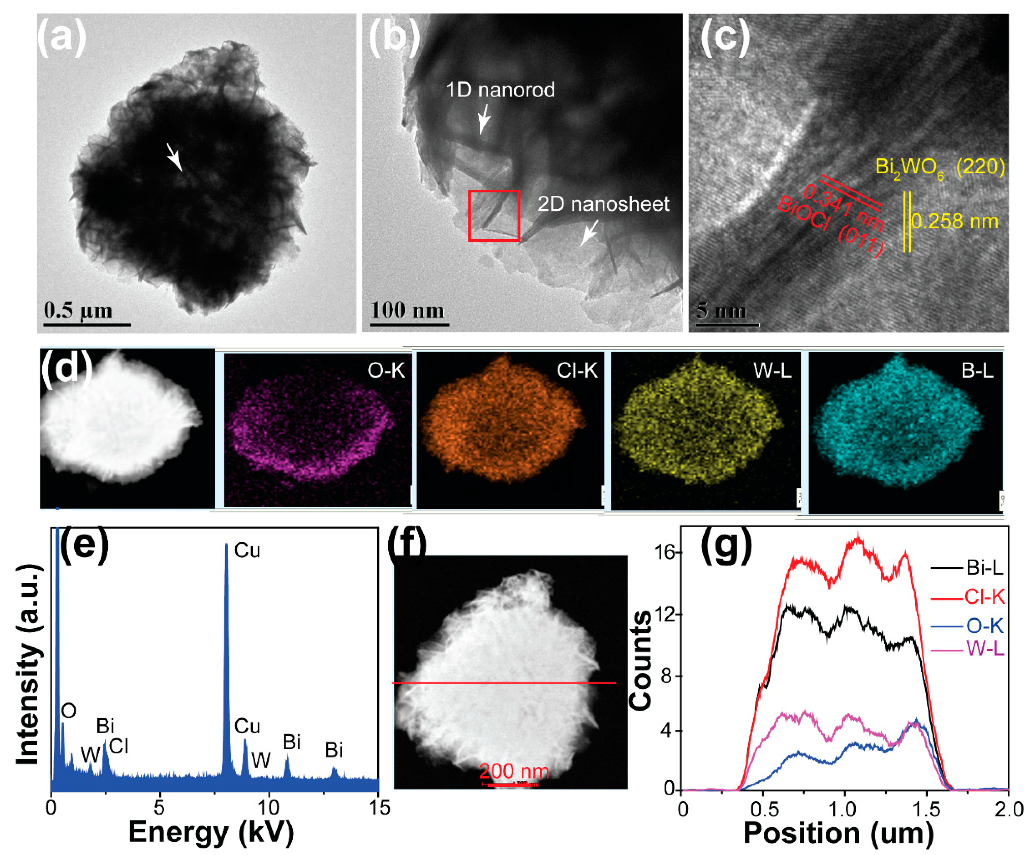Nanomaterials 09 00322 g003