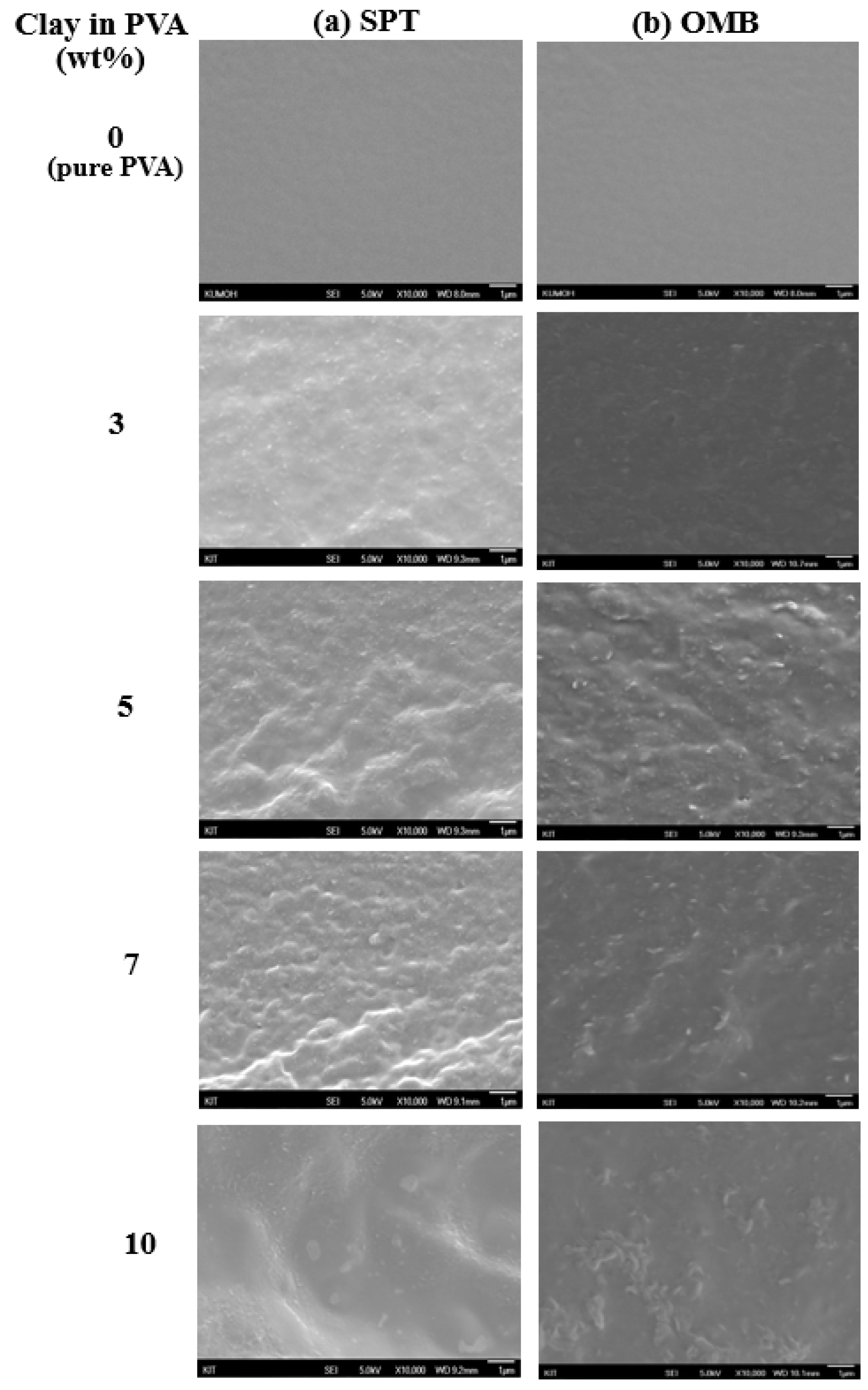 Nanomaterials 09 00323 g005 Nanomaterials 09 00323 g005