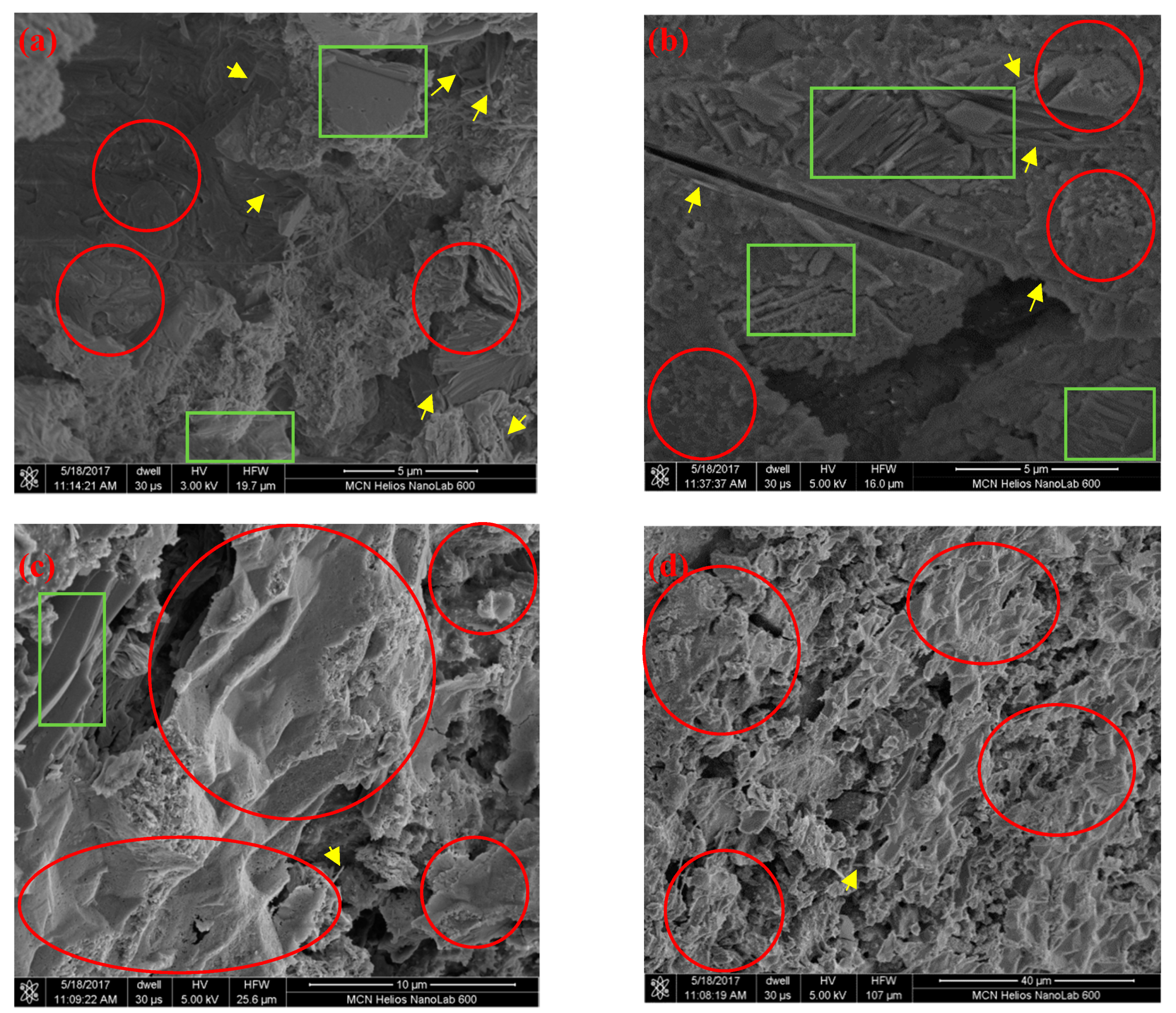 Nanomaterials 09 00325 g008