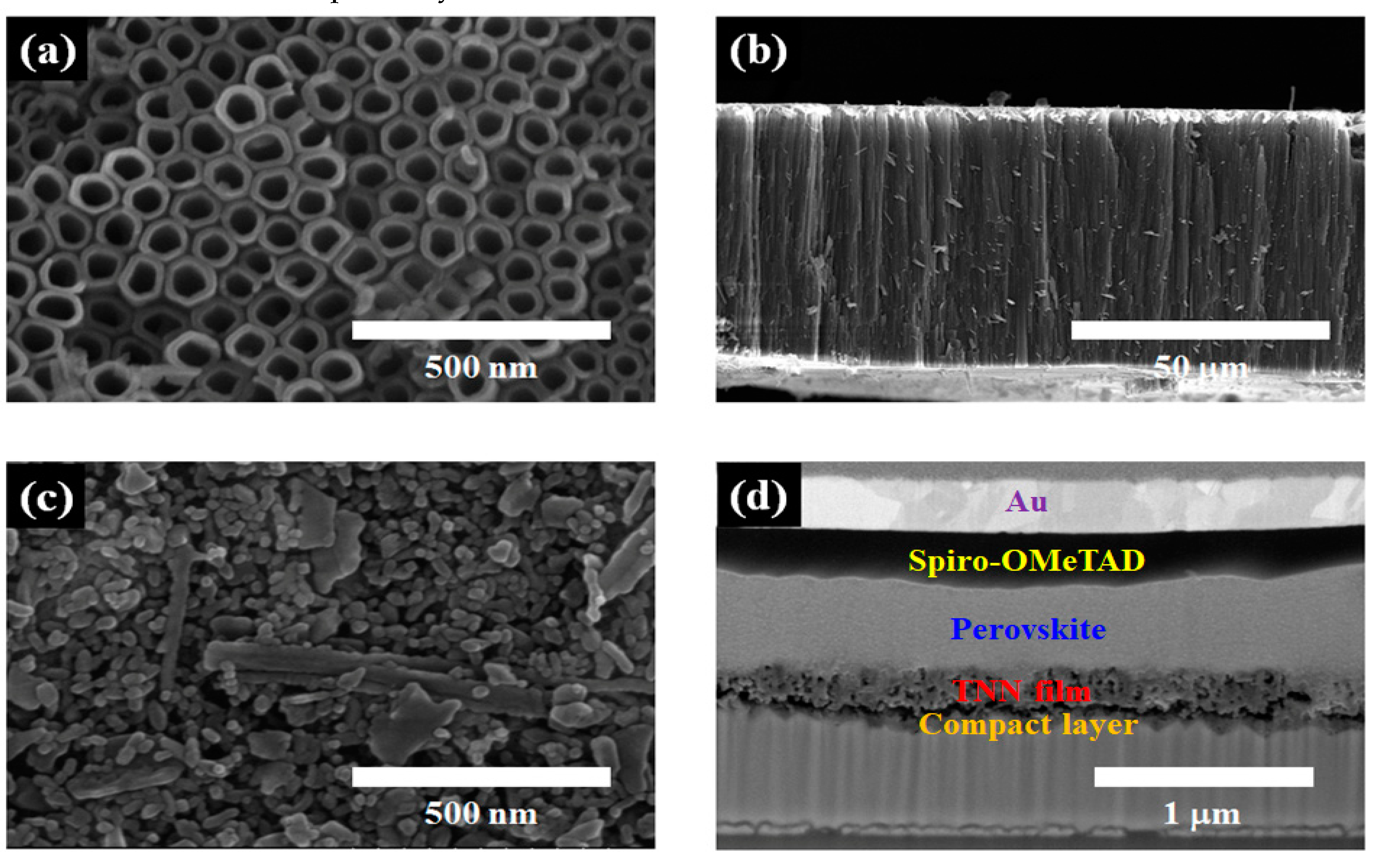 Nanomaterials 09 00326 g002