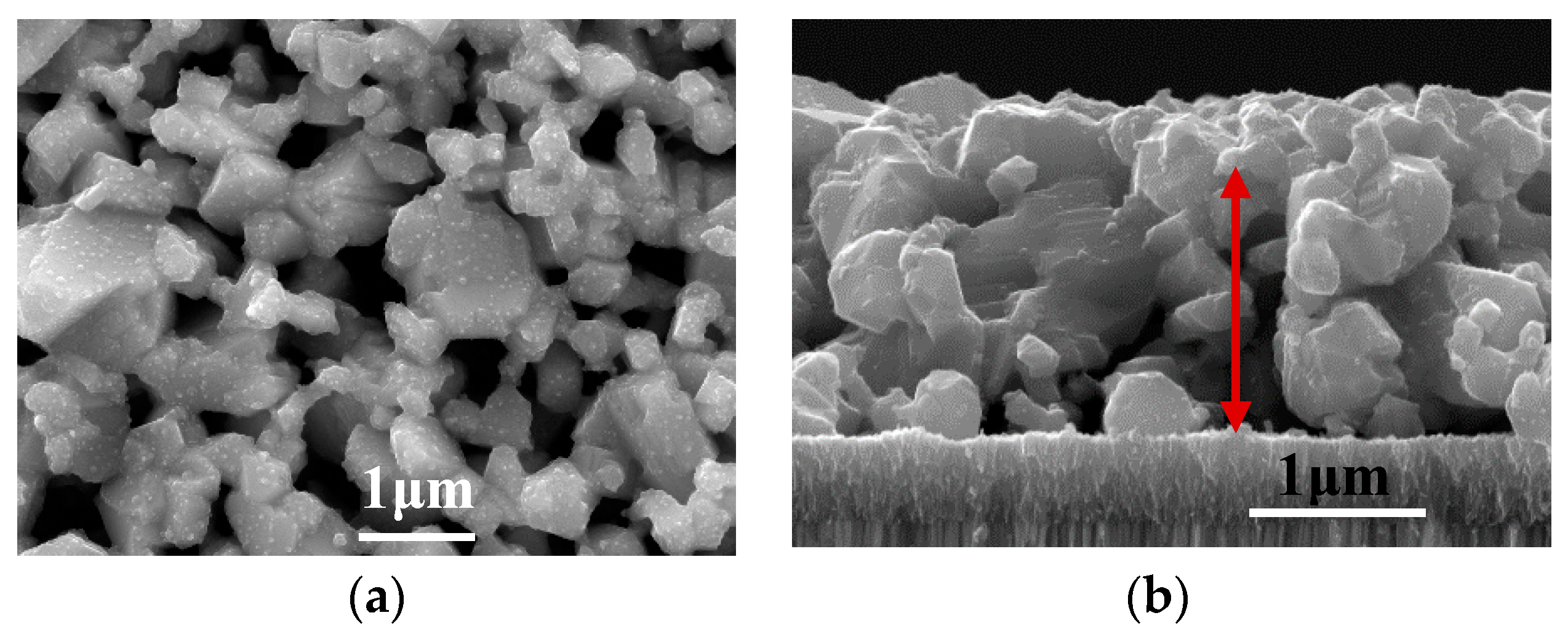 Nanomaterials 09 00336 g006 Nanomaterials 09 00336 g006