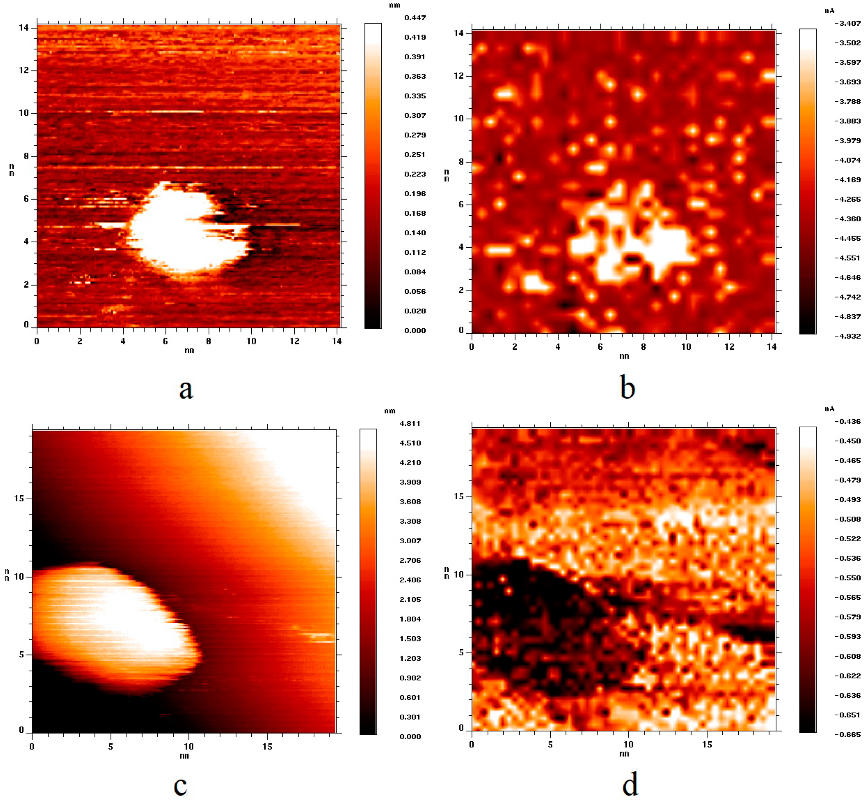 Nanomaterials 09 00344 g004