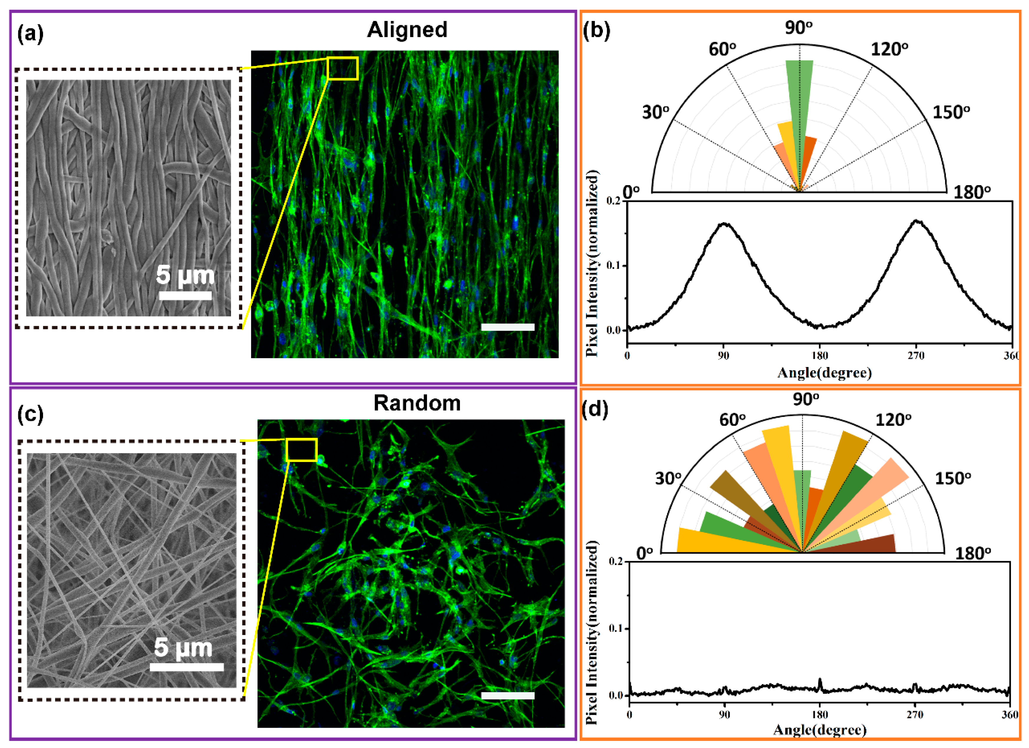Nanomaterials 09 00349 g007 Nanomaterials 09 00349 g007