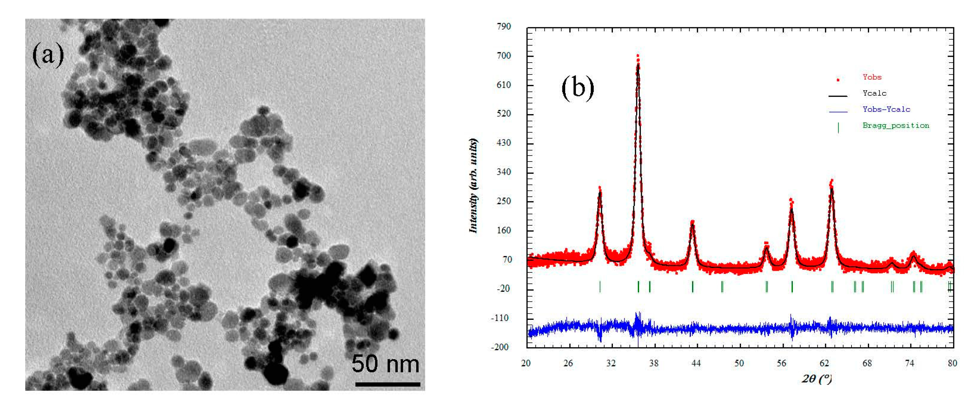 Nanomaterials 09 00356 g001